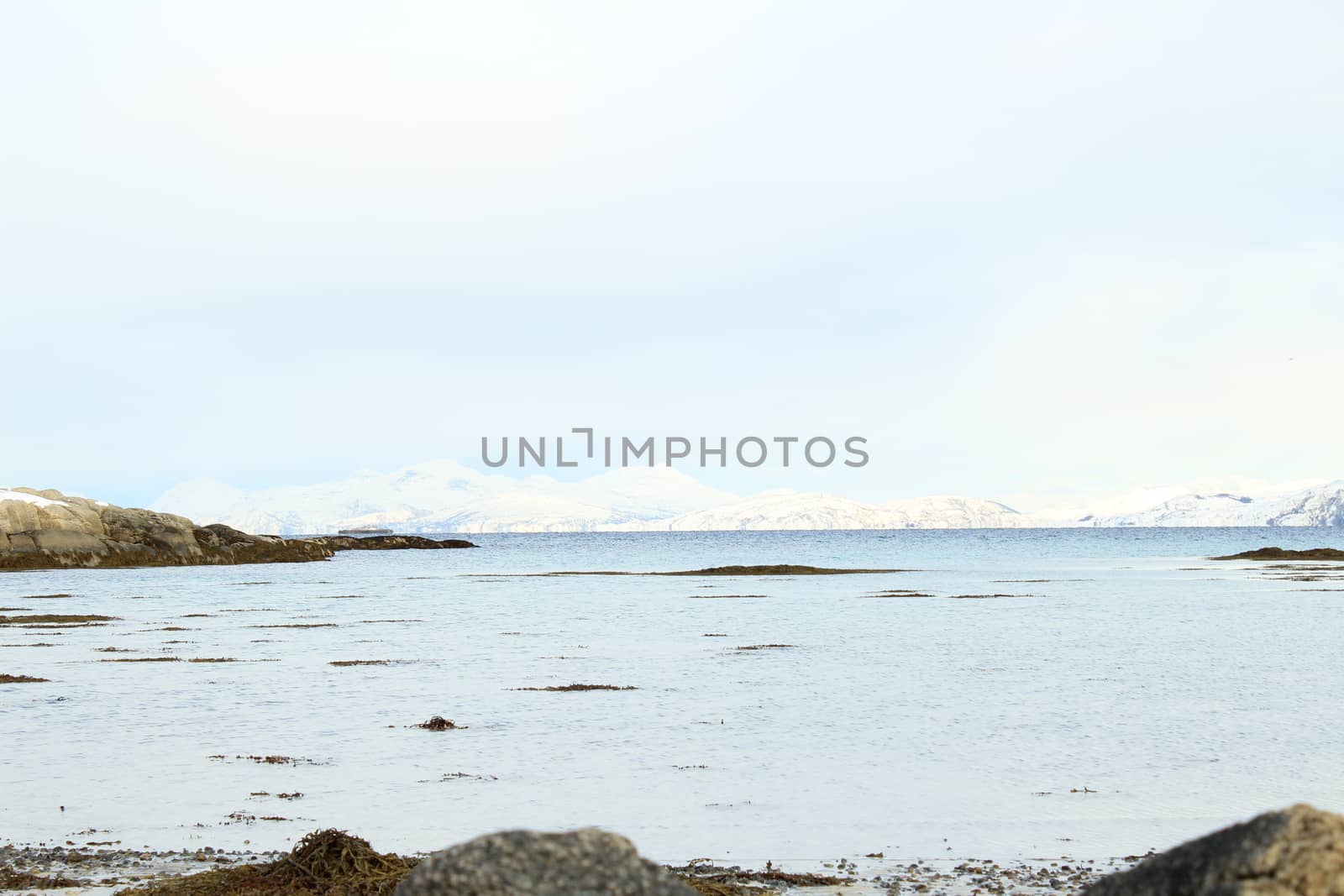 Nature, Sea & Ocean, Water, beach, foreshore