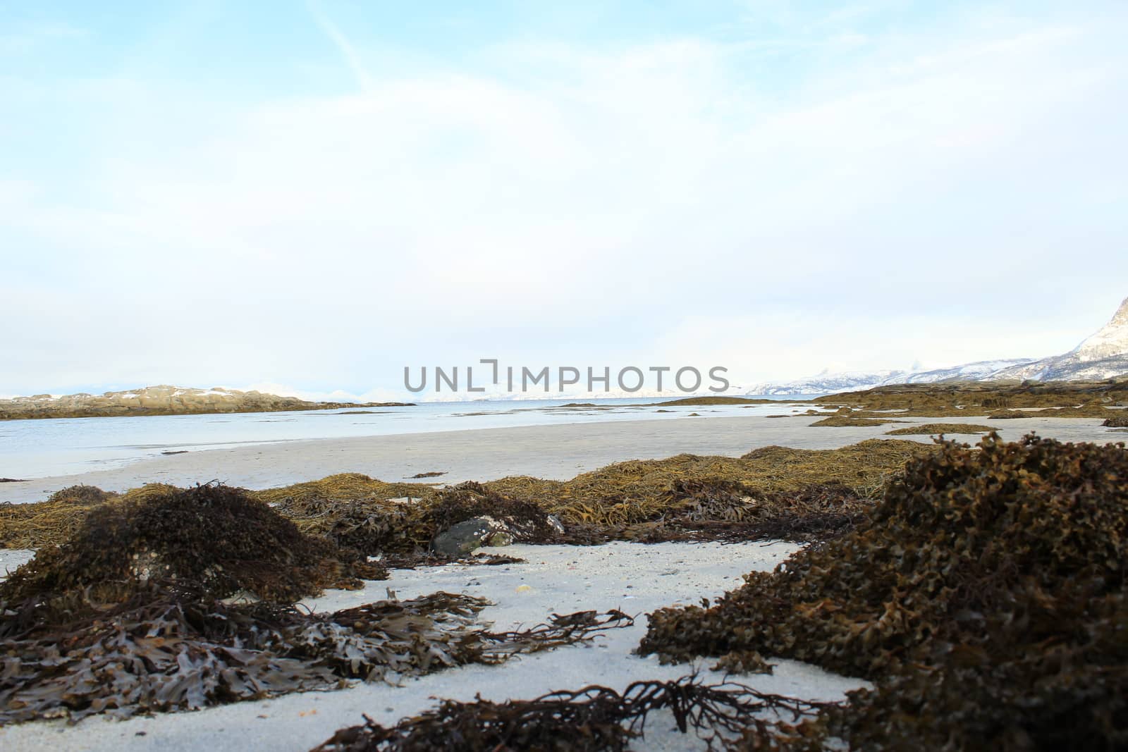 Nature, Sea & Ocean, Water, beach, foreshore