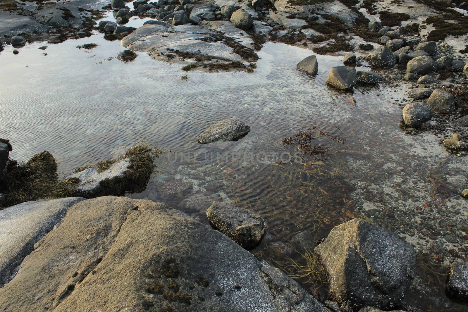 Nature, Sea & Ocean, Water, beach, foreshore