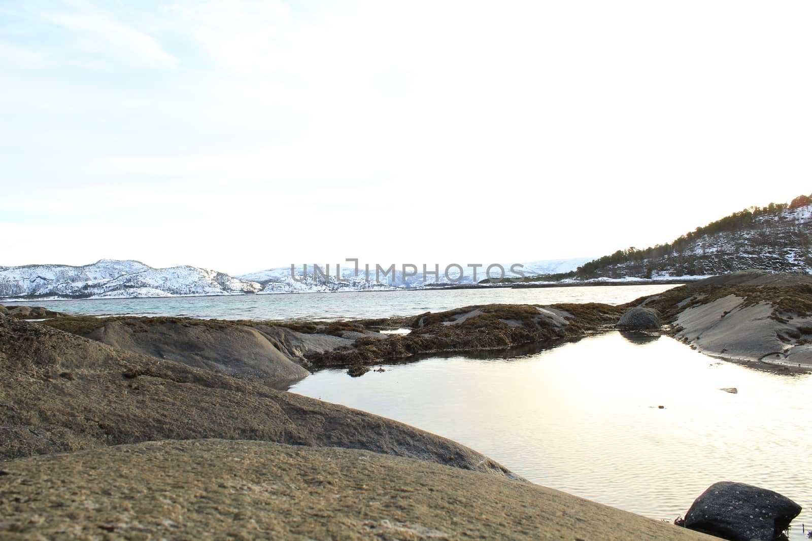 Nature, Sea & Ocean, Water, beach, foreshore