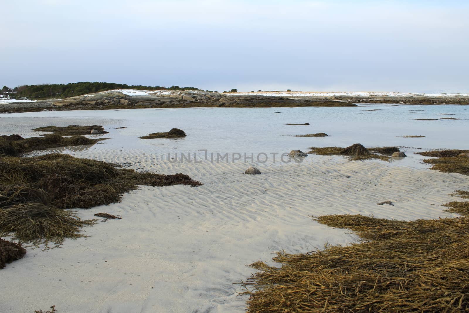 Nature, Sea & Ocean, Water, beach, foreshore