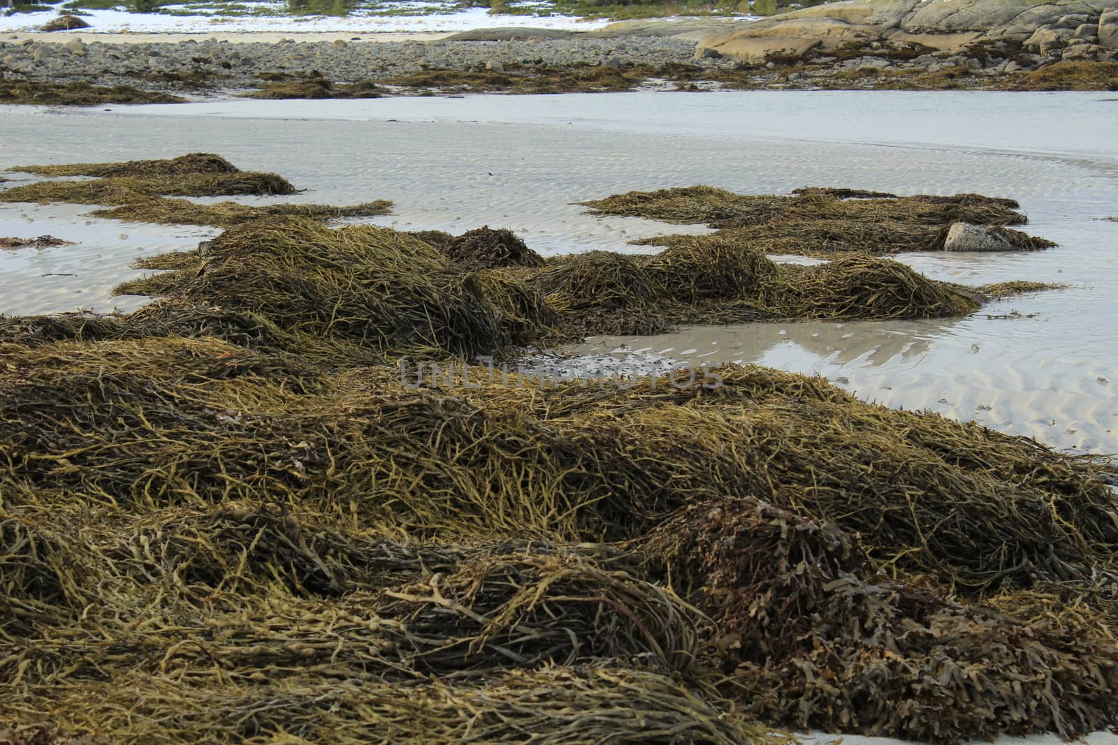 Nature, Sea & Ocean, Water, beach, foreshore