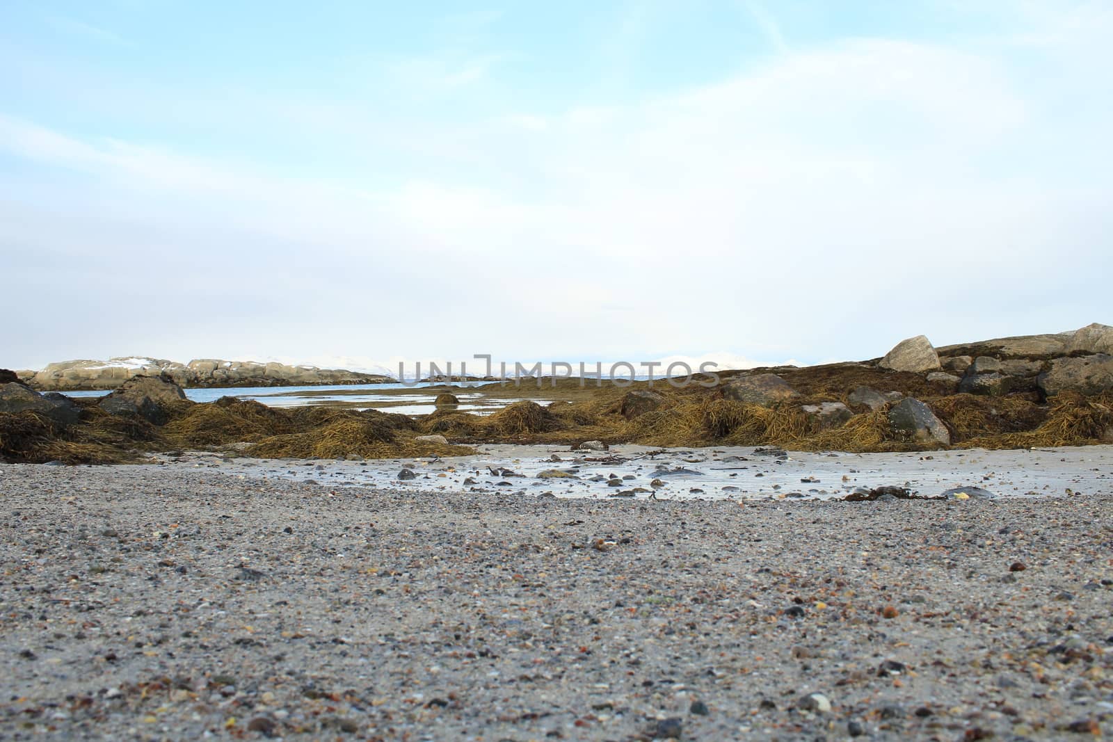Nature, Sea & Ocean, Water, beach, foreshore