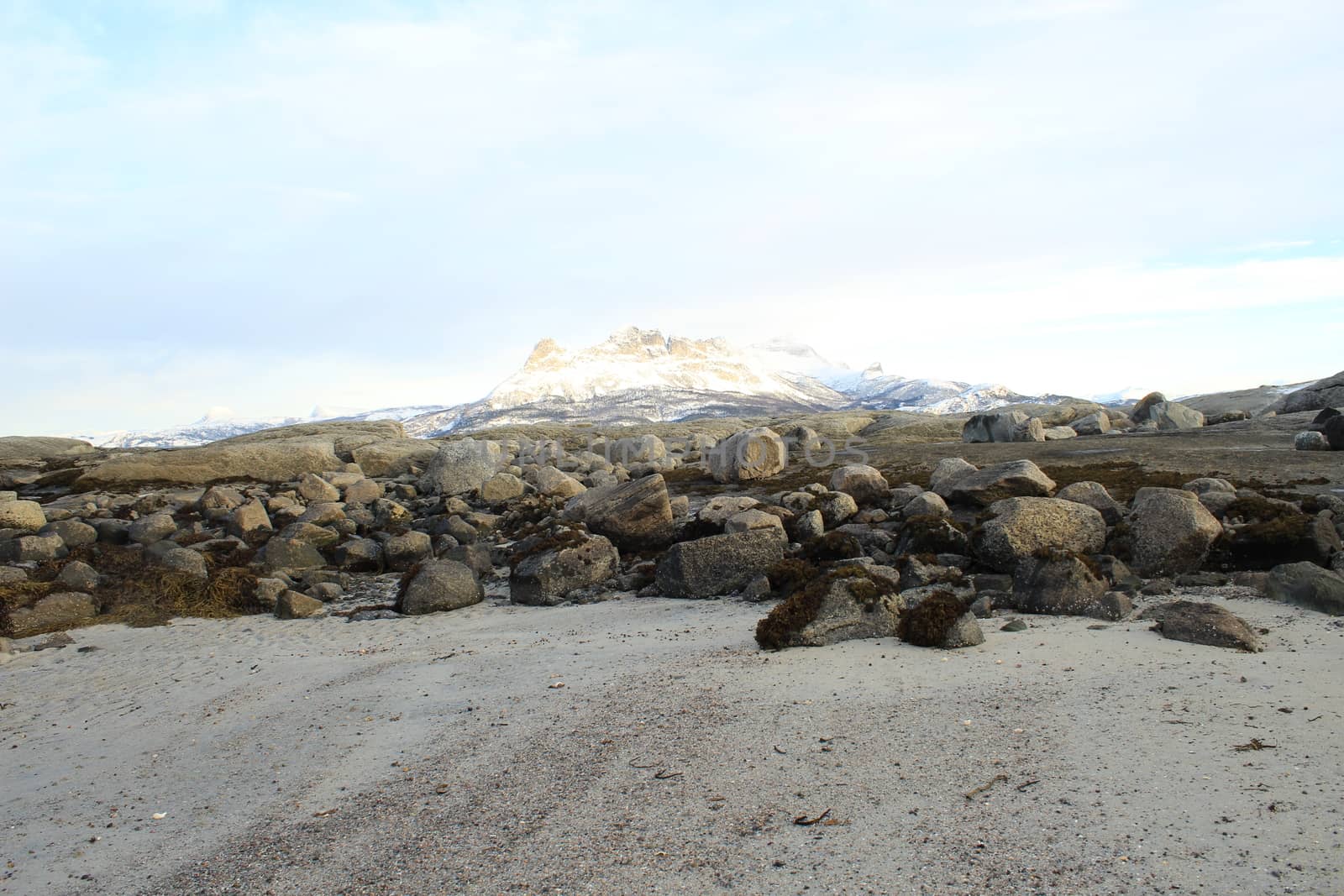 Nature, Sea & Ocean, Water, beach, foreshore