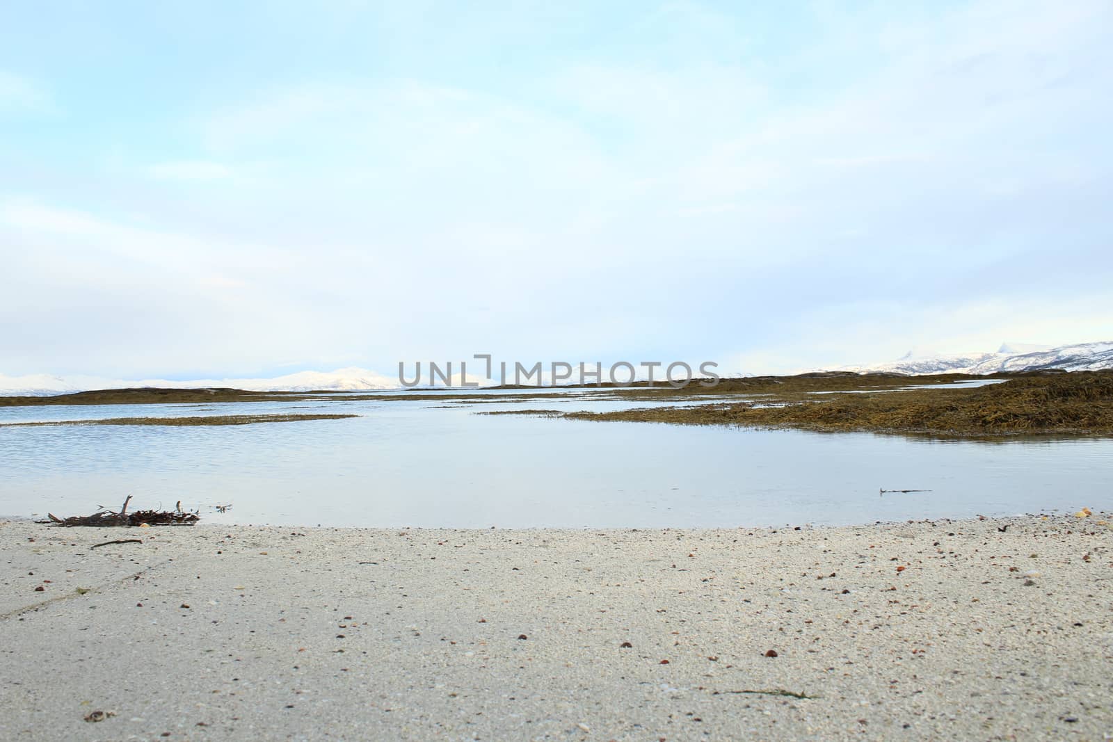 Nature, Sea & Ocean, Water, beach, foreshore