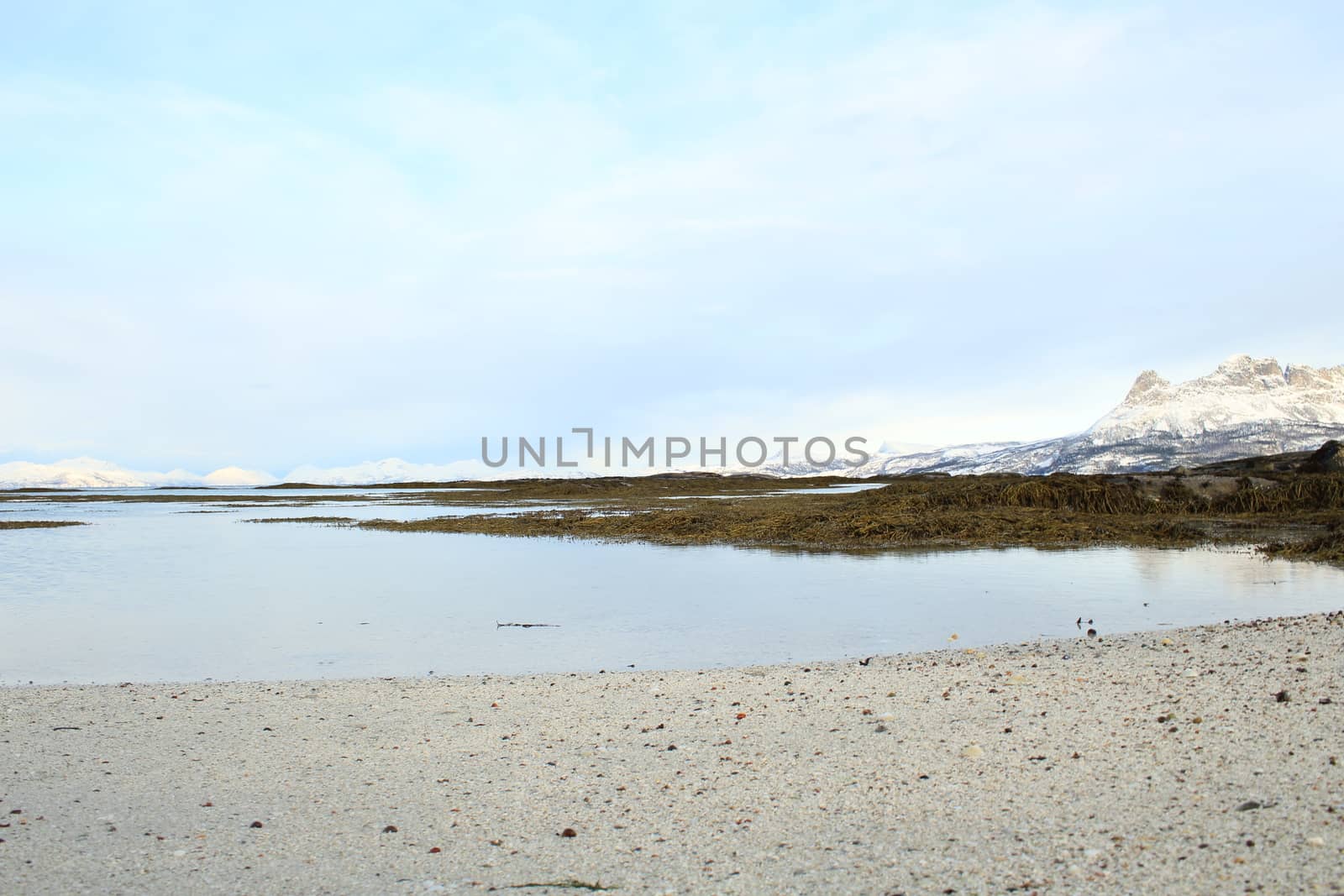 Nature, Sea & Ocean, Water, beach, foreshore