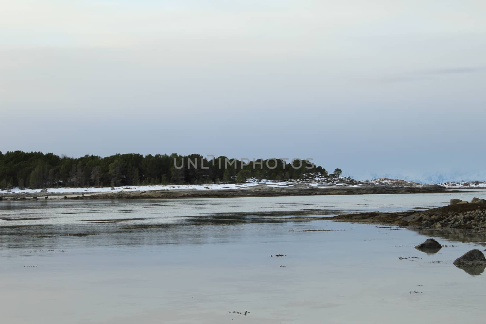 Nature, Sea & Ocean, Water, beach, foreshore