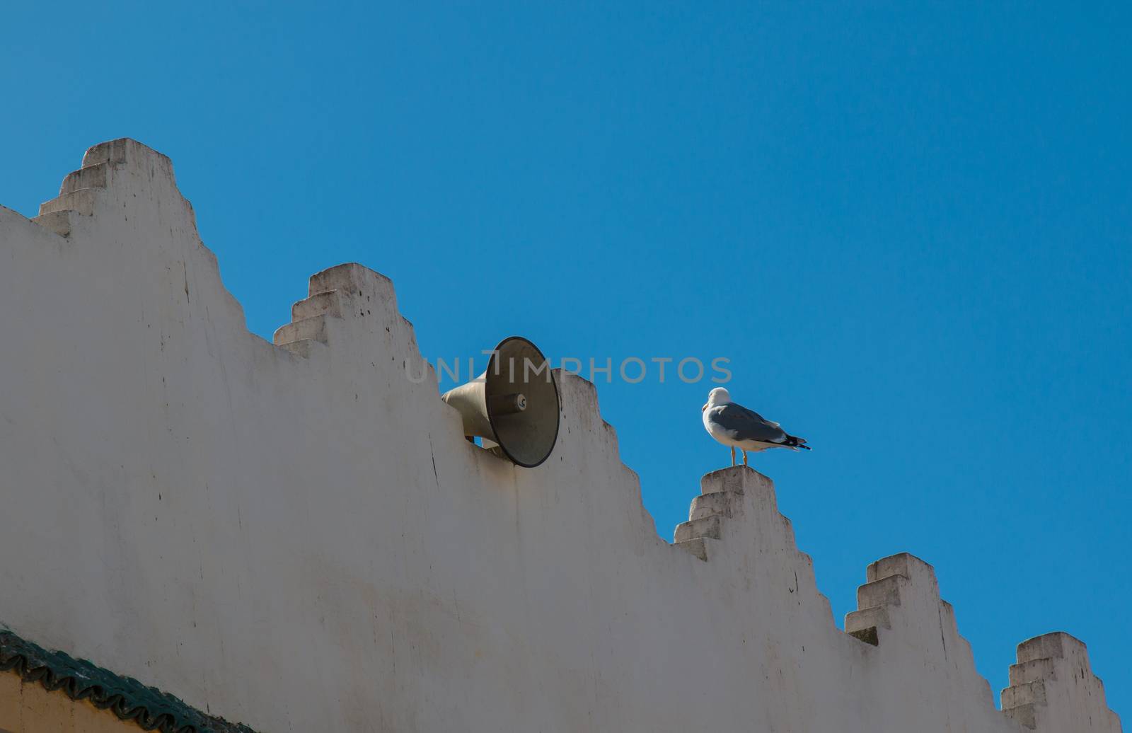 Edge of the building with traditional arabian architecture details. Amplifier and a seagull. Bright blue sky.