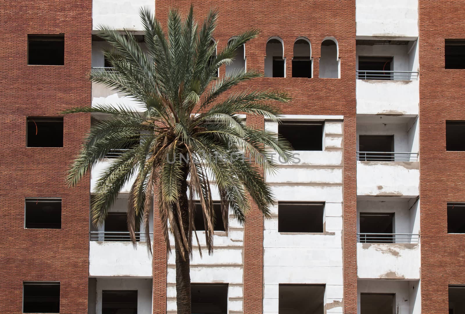 Building and a palm tree by YassminPhoto