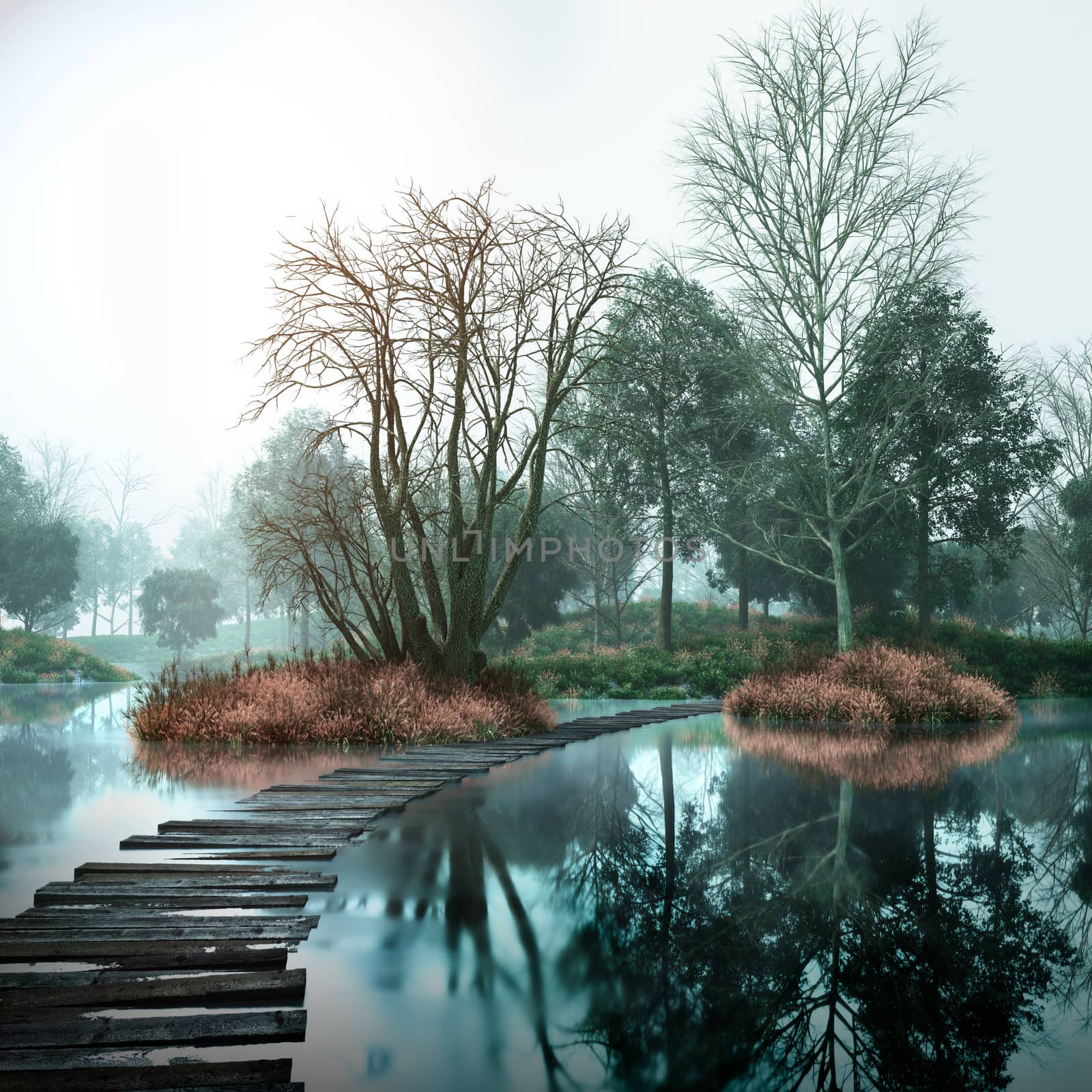 Autumn vintage landscape with old woods and lake