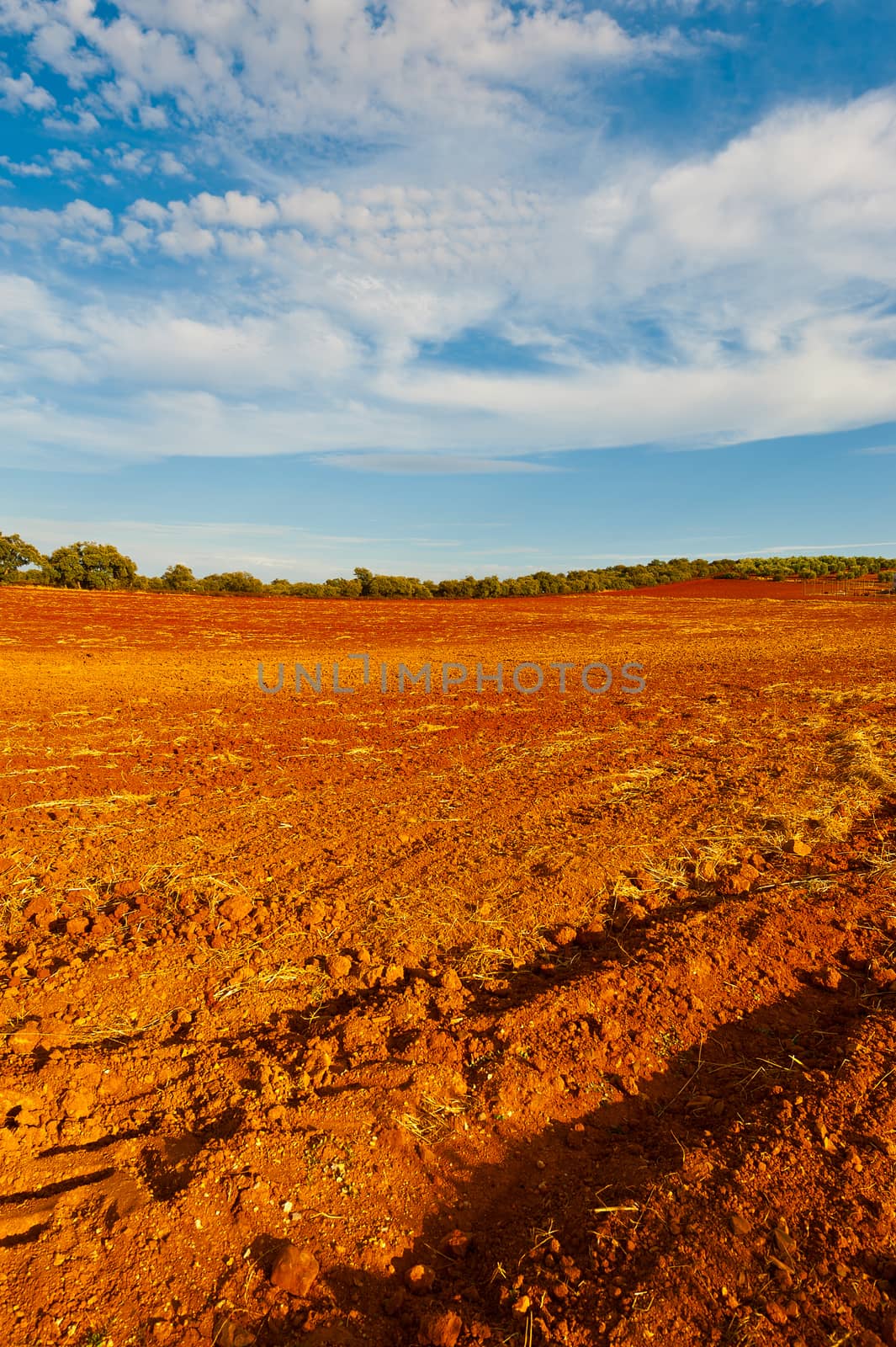 Plowed Fields of Spain in a Autumn
