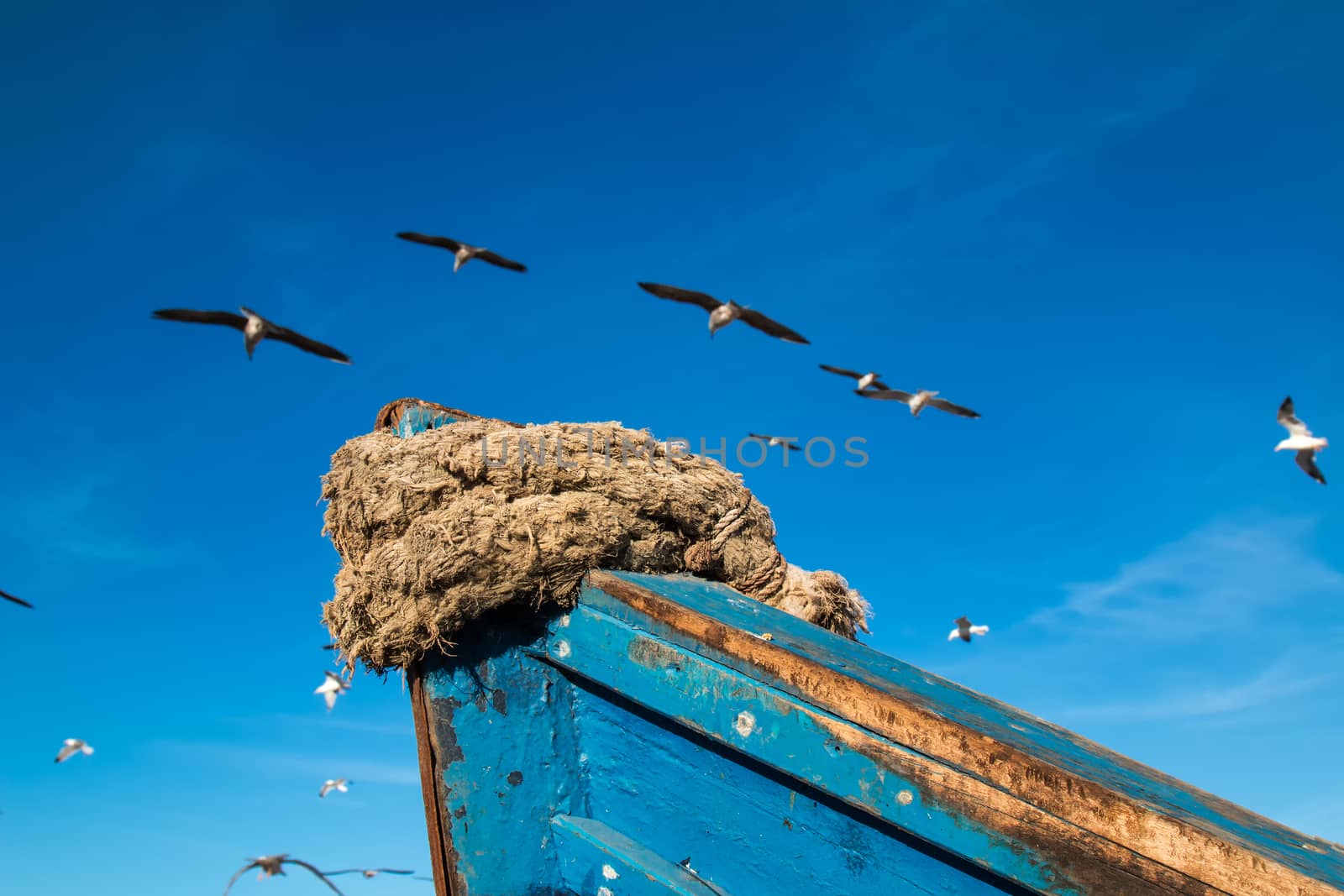 Detail of an old blue wooden fishing boat. Rope on the edge. Blue sky with light clouds in the background. Seagulls around the boat.