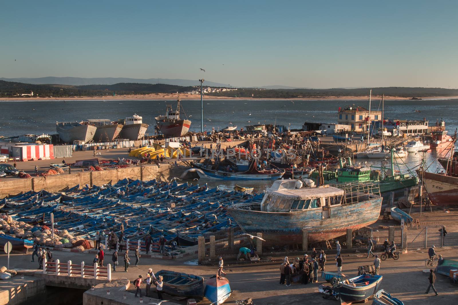 Calm early evening in the port in Essaouira, Morocco. Many small and big boats. Seashore and mountains in the background.