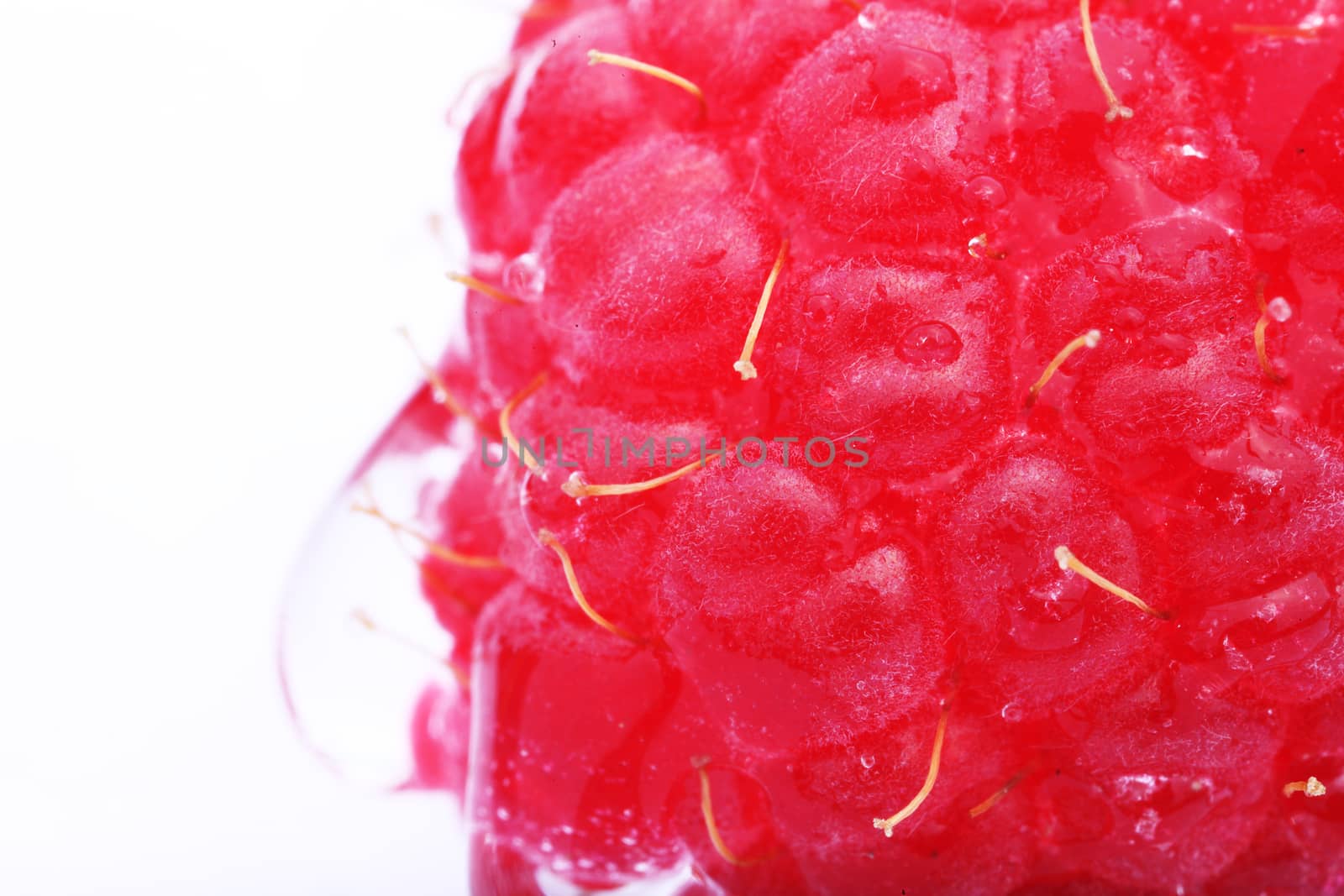 Macro view of a raspberry on white background 