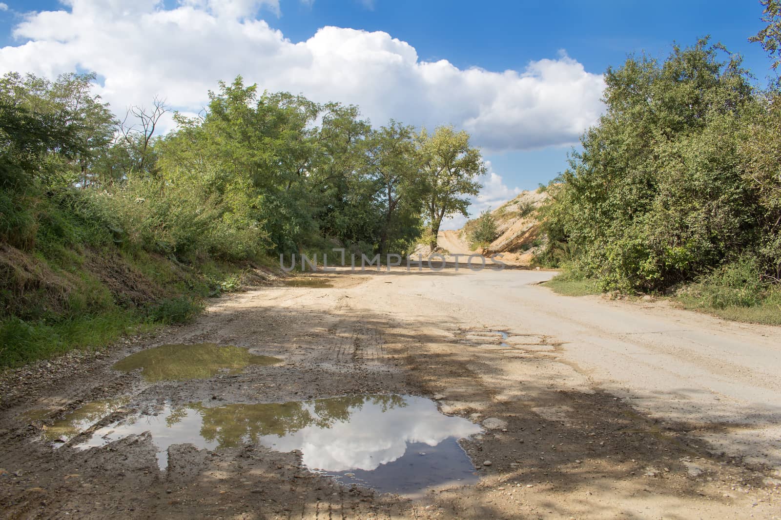 Country road after a rain. Reflection of the cloudy sky and trees in the paddle.