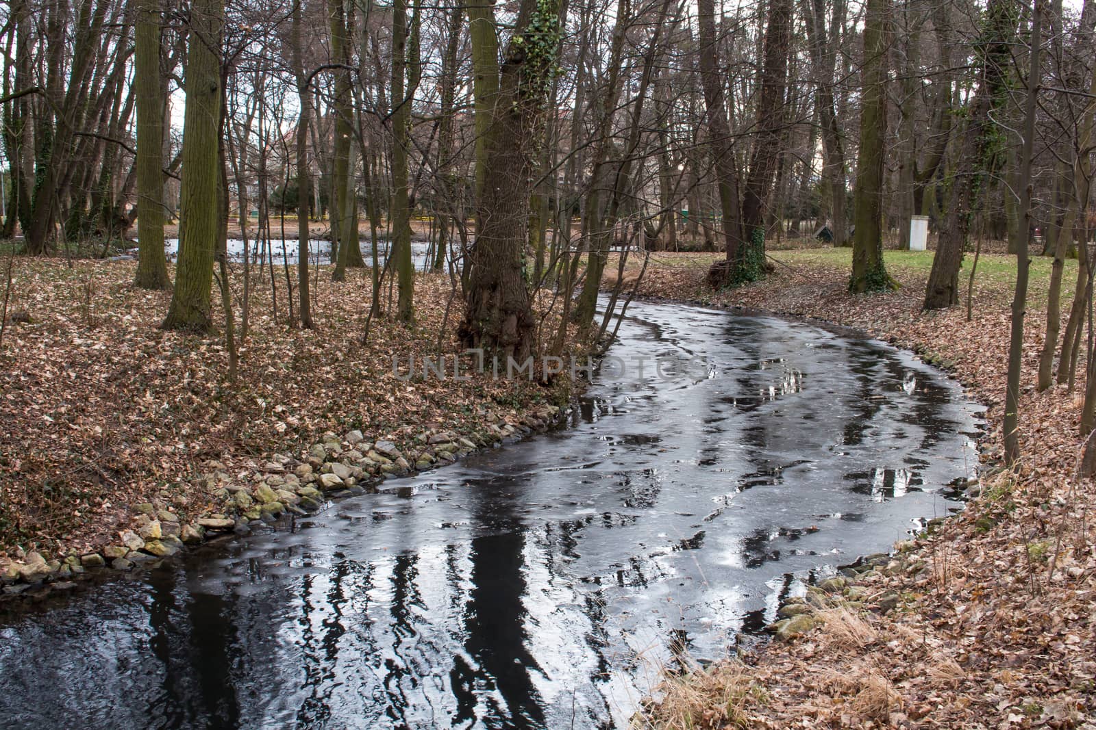 Curve of a small river during the winter season. Thin layer of the ice on the river. Trees around, fallen leaves on the ground.