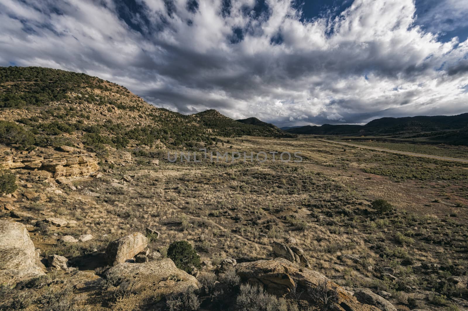 Desert Landscape in Western Colorado, United States