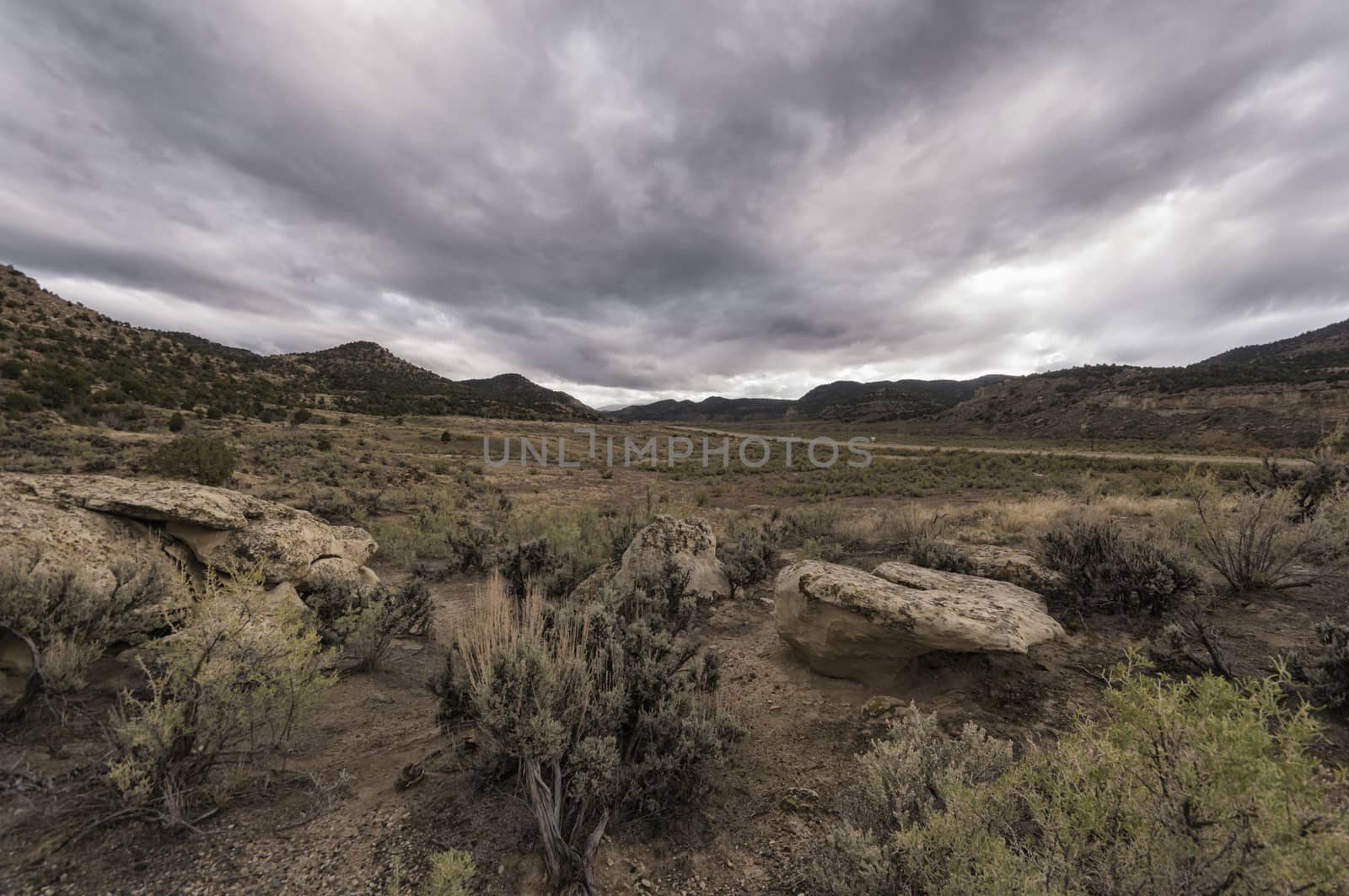 Desert Landscape in Western Colorado, United States