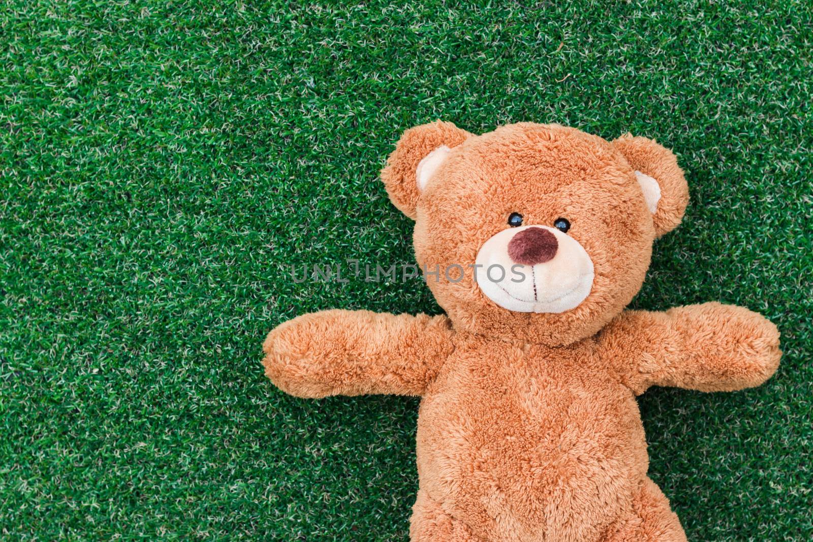 Cute teddy bear on green grass background