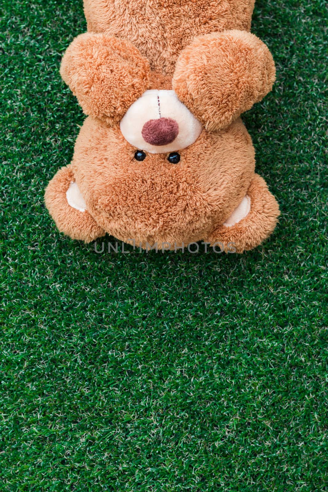 Cute teddy bear by AEyZRiO