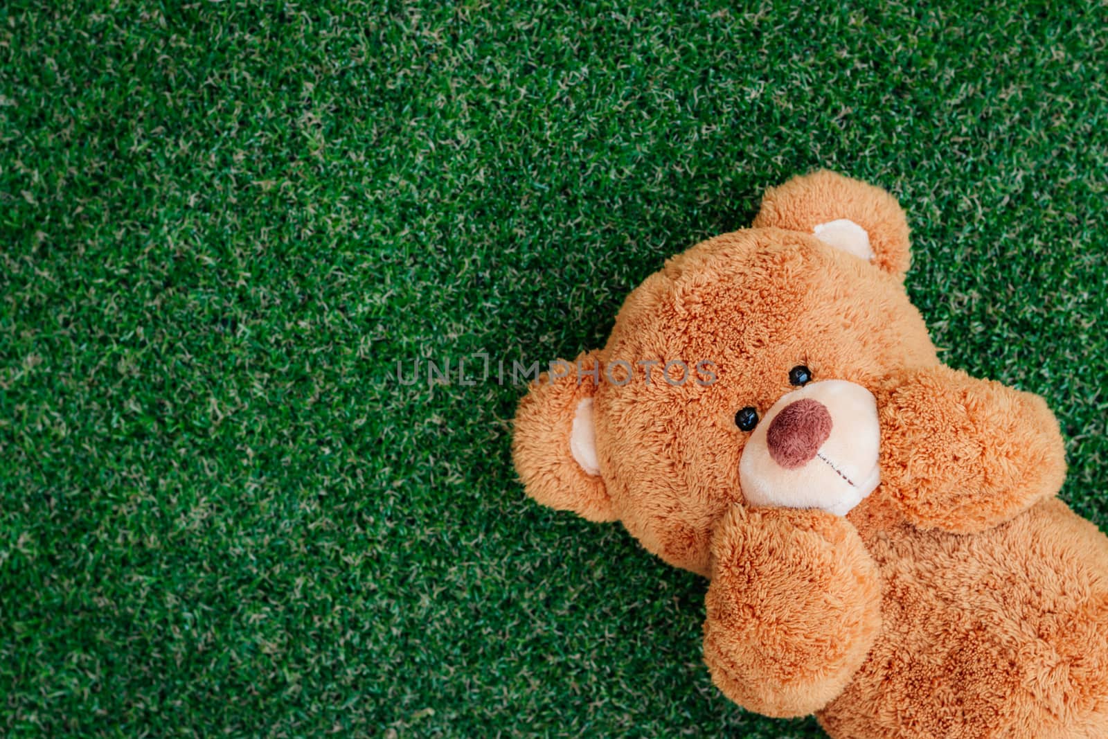 Cute teddy bear on green grass background