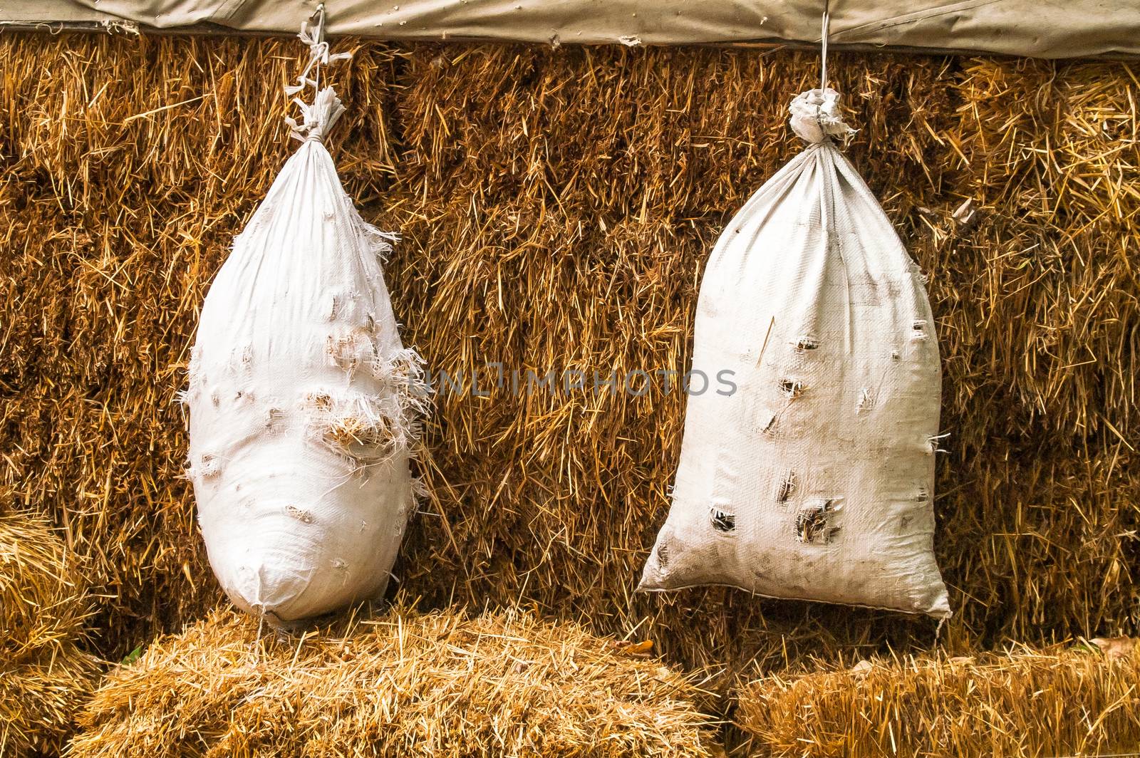 bag, straw , shooting by antonius_