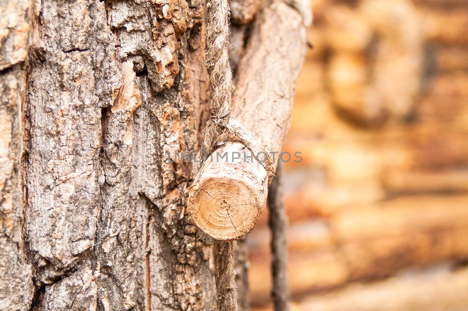 outdoor wooden circular staircase made of logs