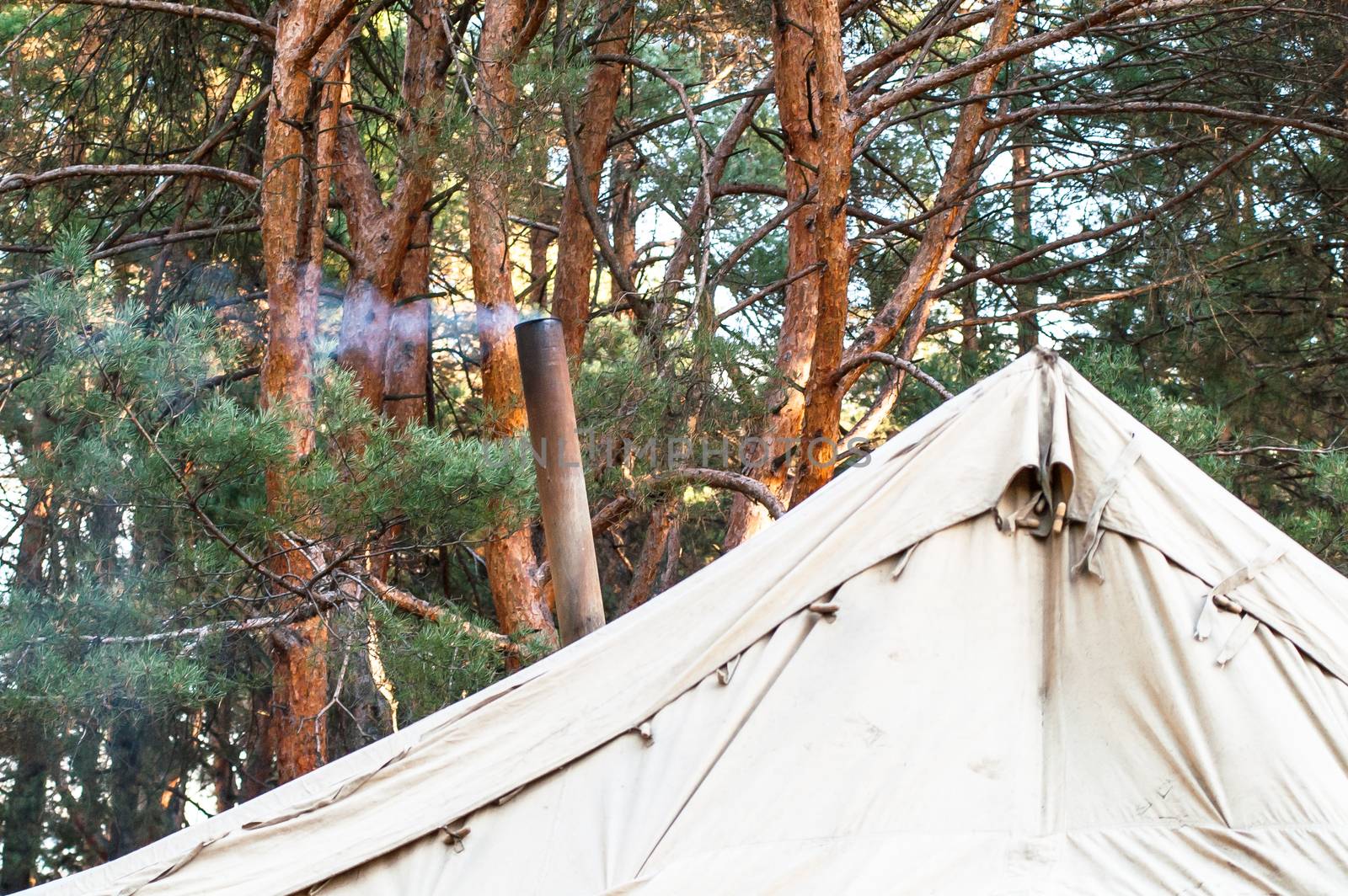 Green tent with tent camping, camping in the woods