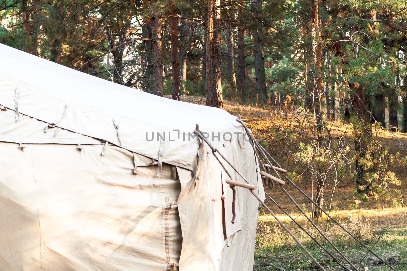 Green tent with tent camping, camping in the woods