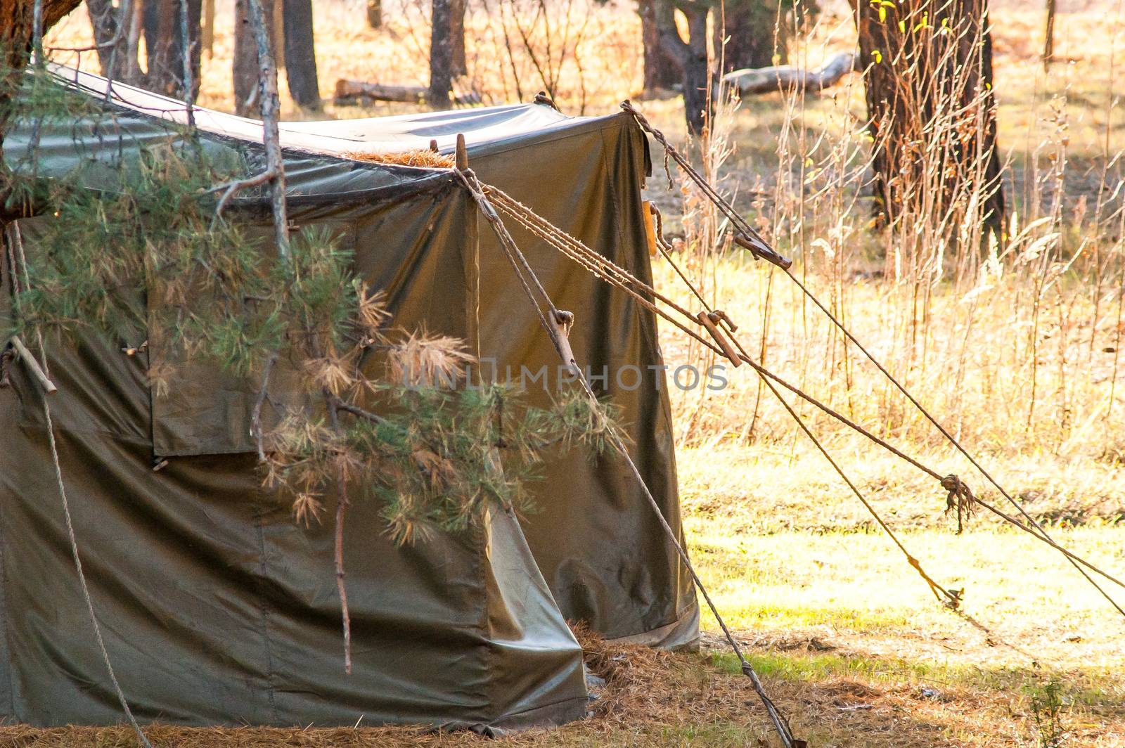 Green tent with tent camping, camping in the woods