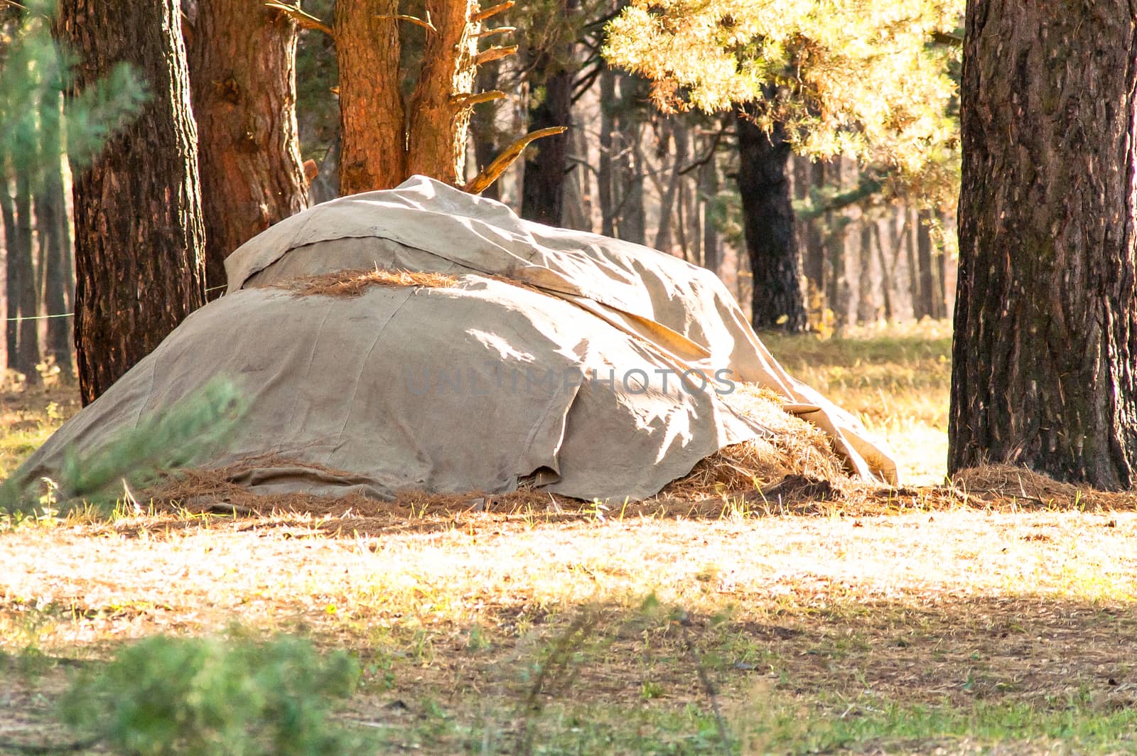 stack of straw covered with a tent in the woods