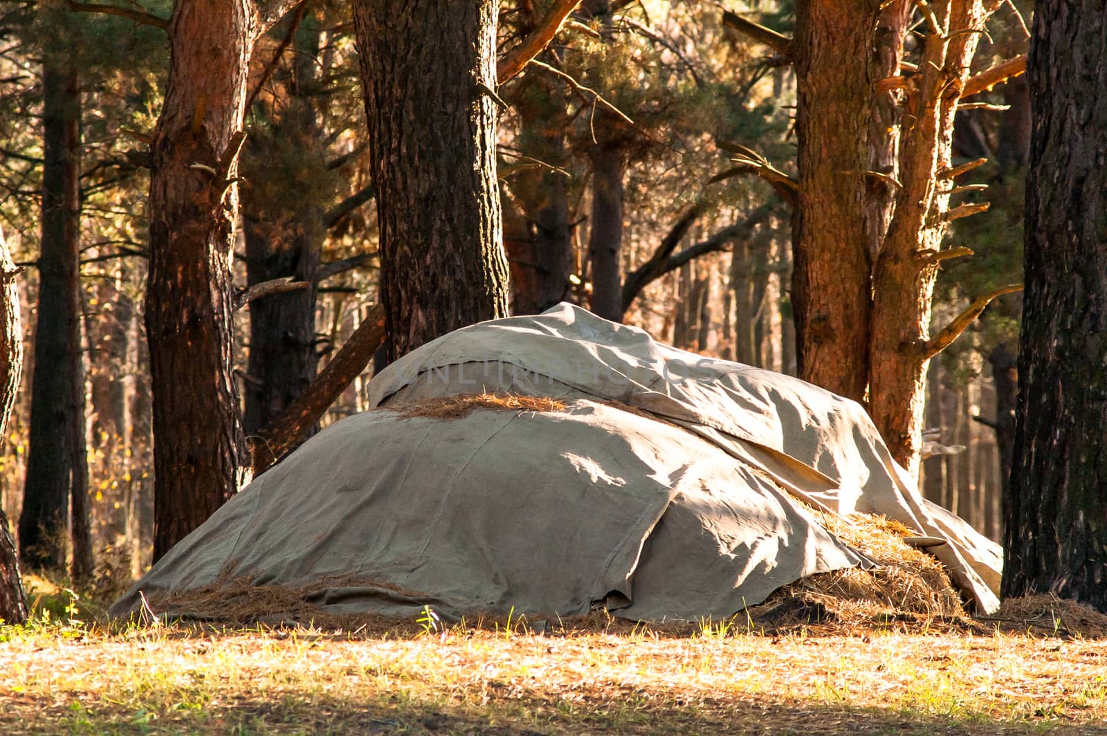 stack of straw covered with a tent in the woods