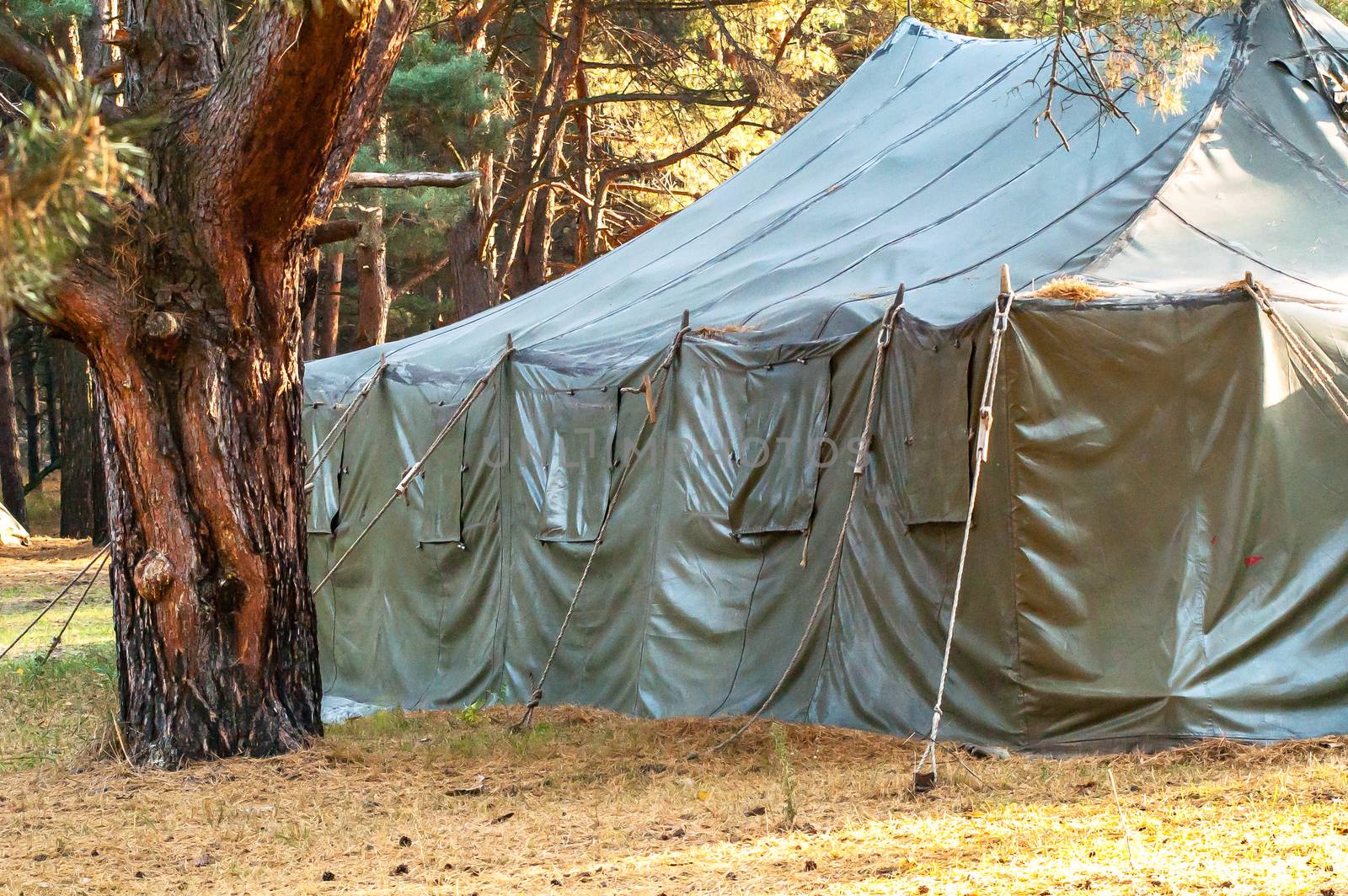 Green tent with tent camping, camping in the woods