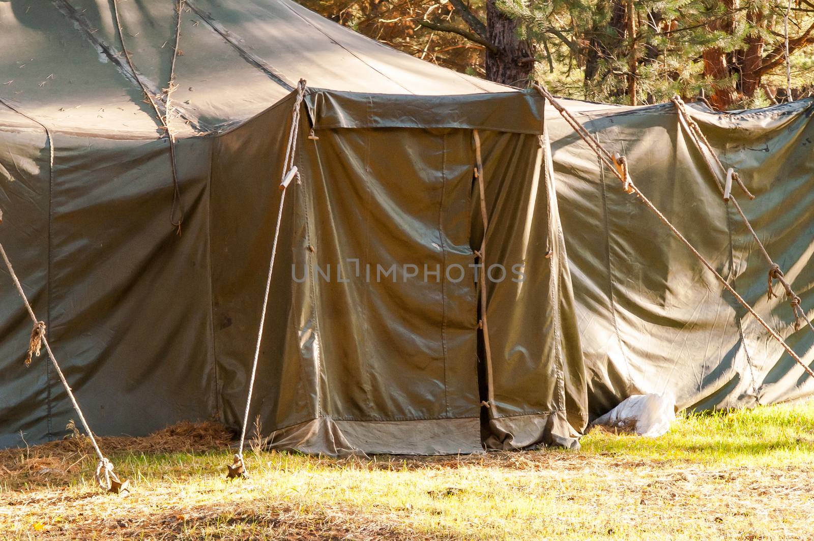 Green tent, camping, camping, woods by antonius_