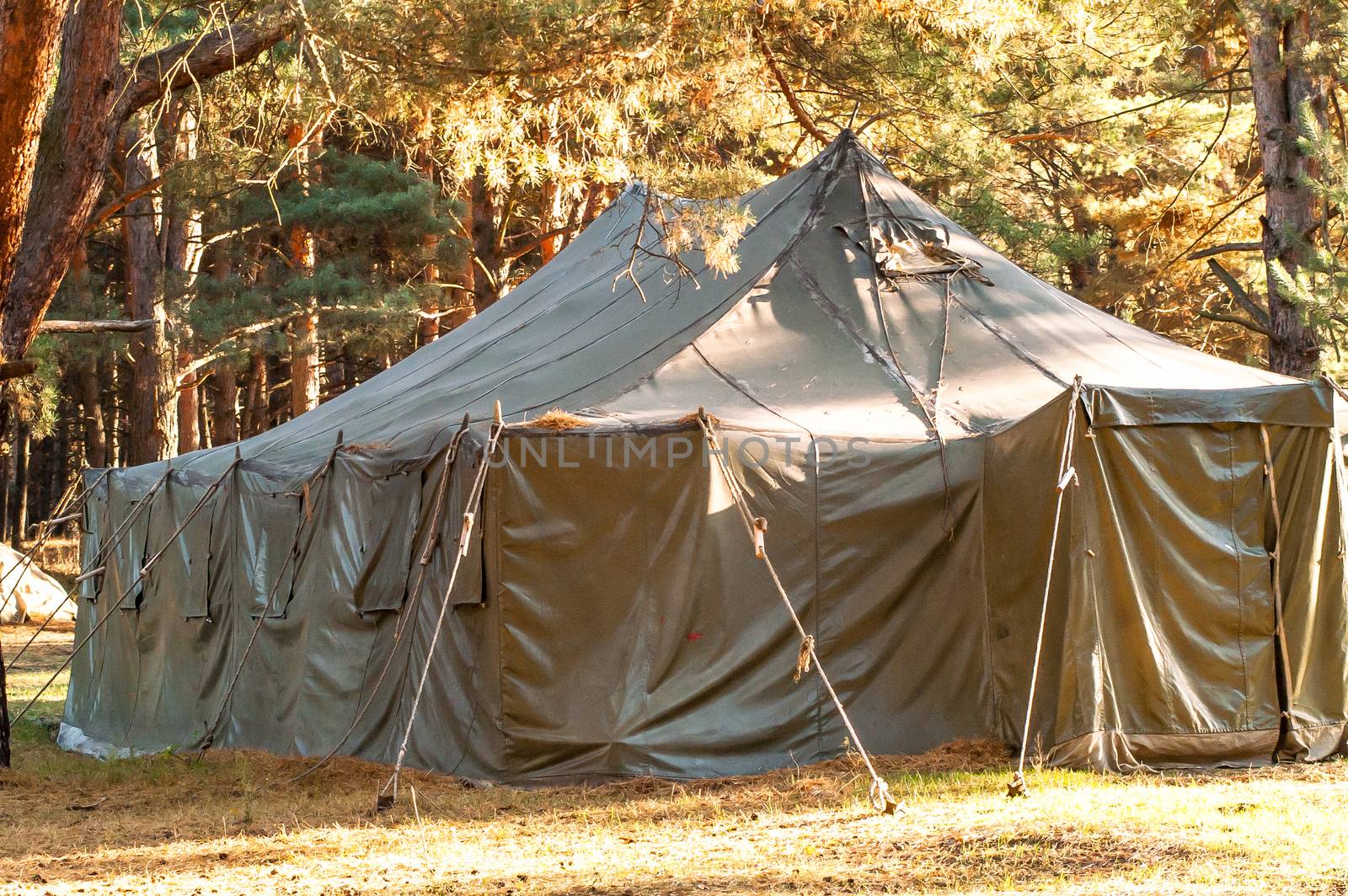 Green tent with tent camping, camping in the woods