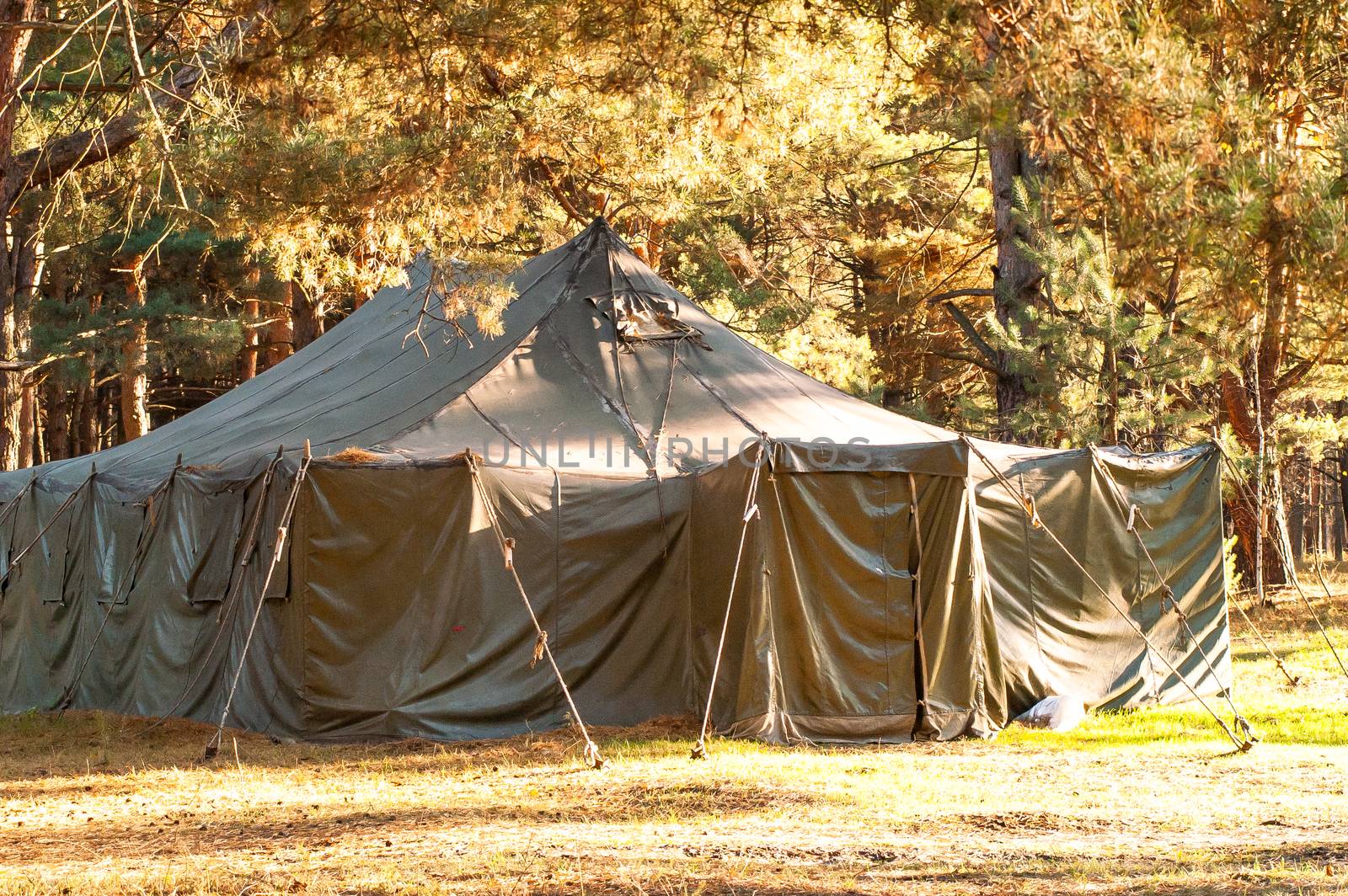 Green tent with tent camping, camping in the woods