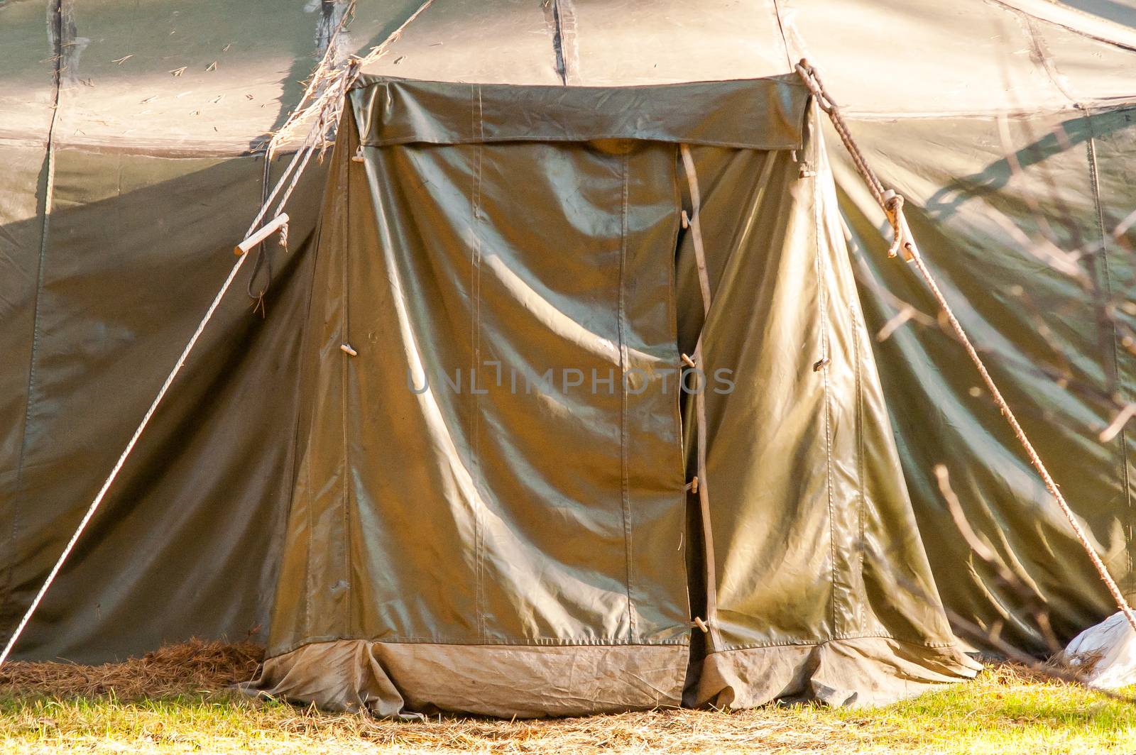 Green tent with tent camping, camping in the woods