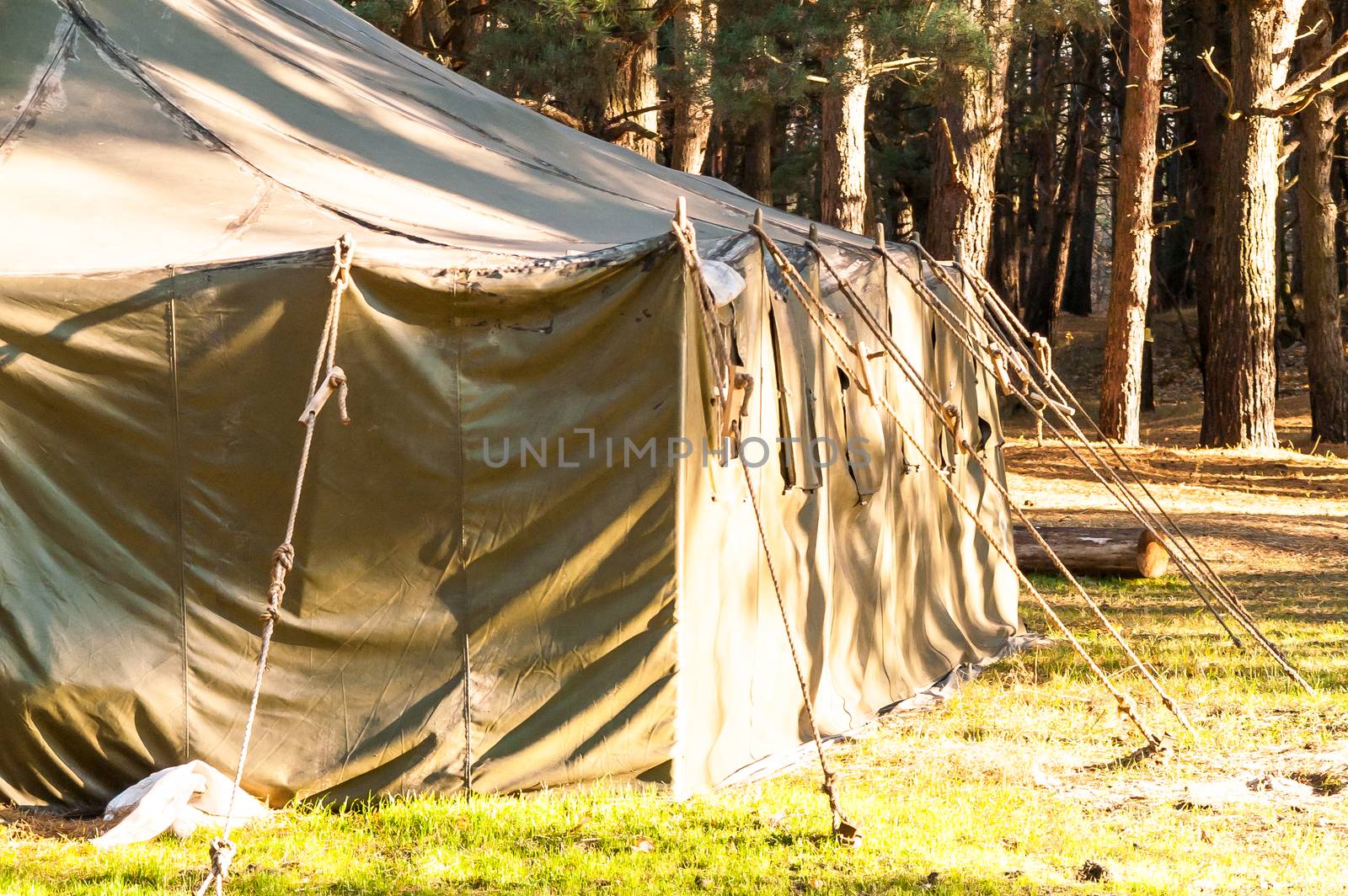 Green tent with tent camping, camping in the woods