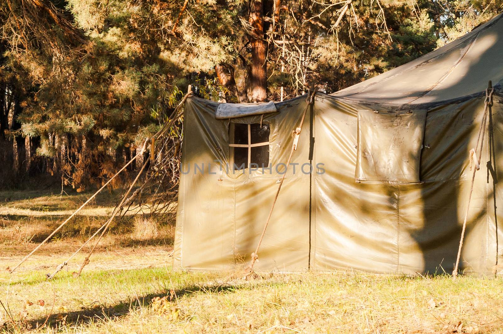 Green tent with tent camping, camping in the woods