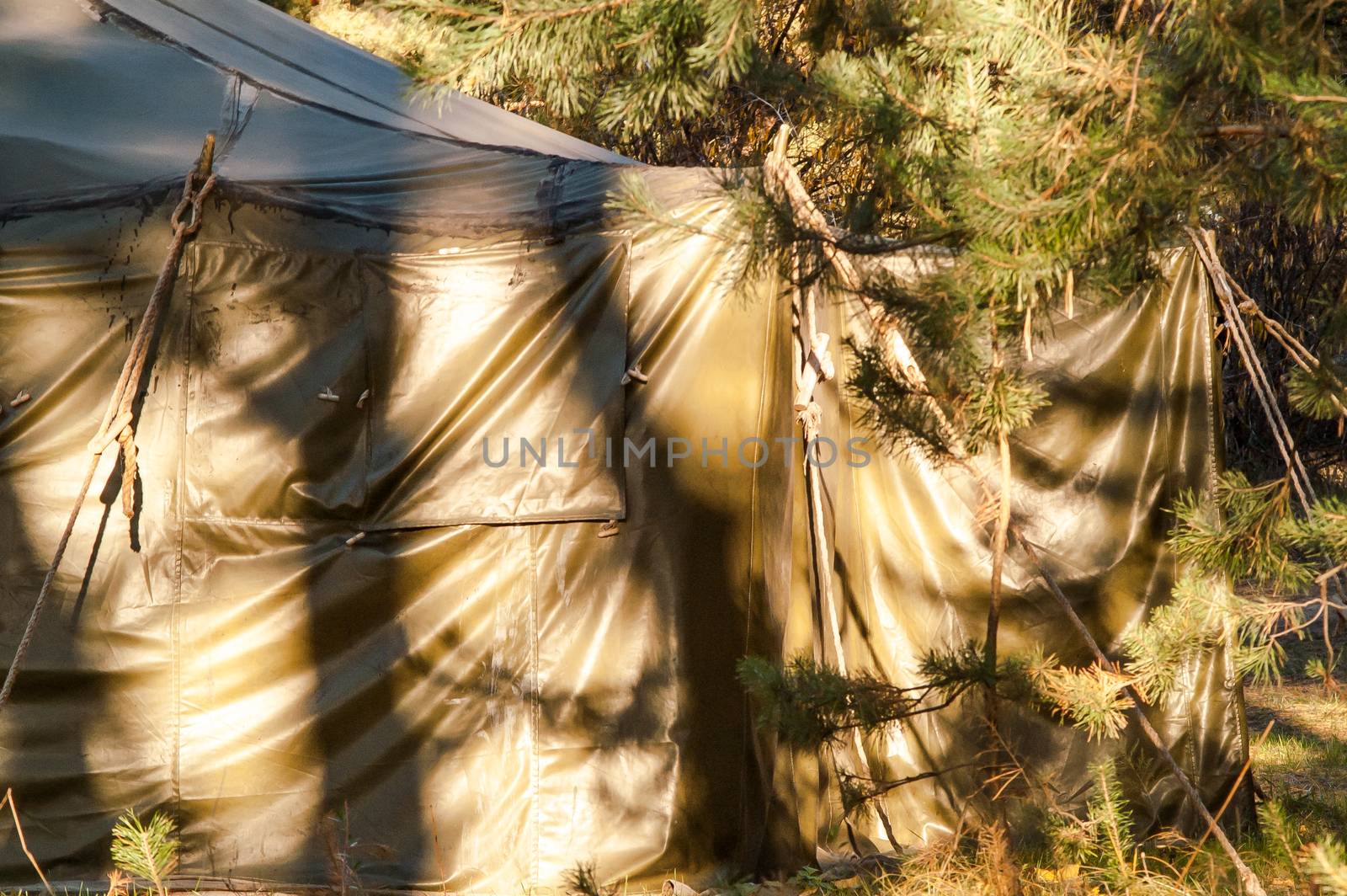 Green tent with tent camping, camping in the woods