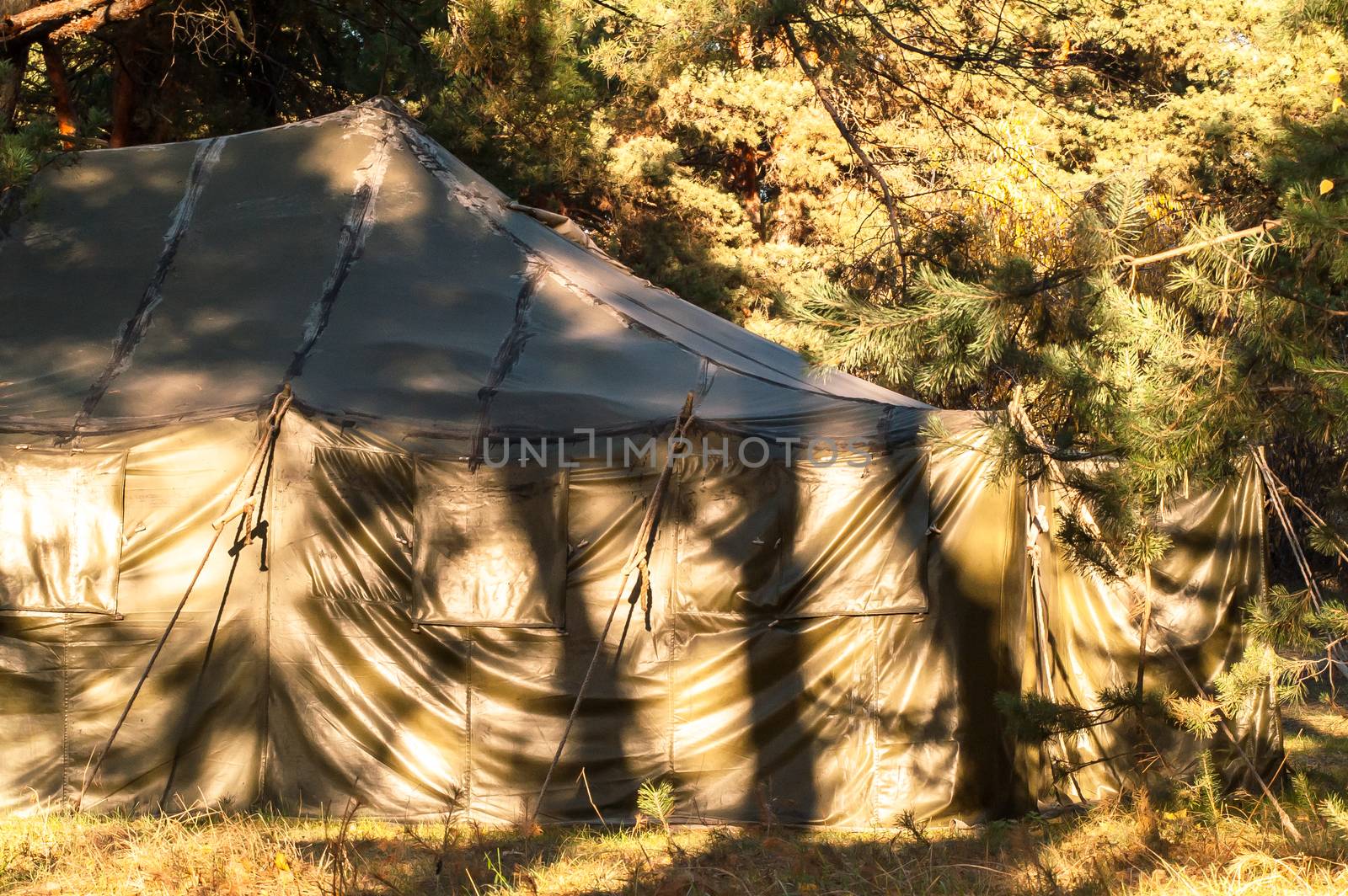 Green tent with tent camping, camping in the woods