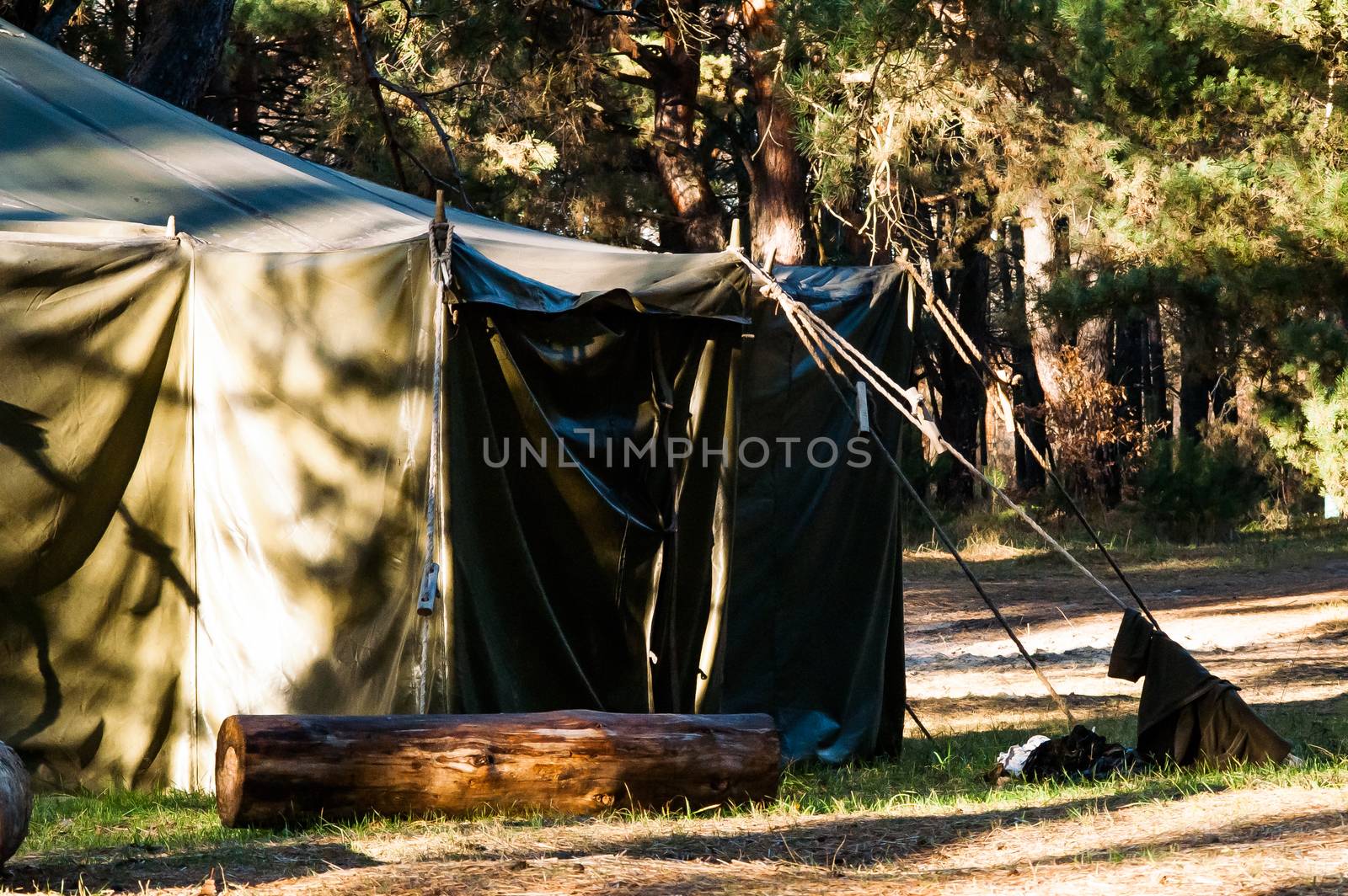 Green tent with tent camping, camping in the woods