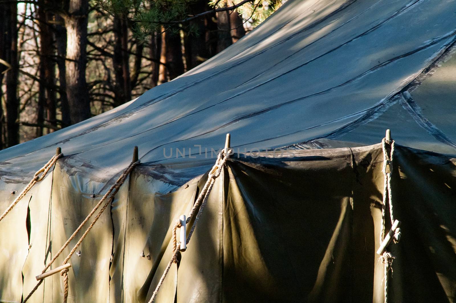 Green tent with tent camping, camping in the woods