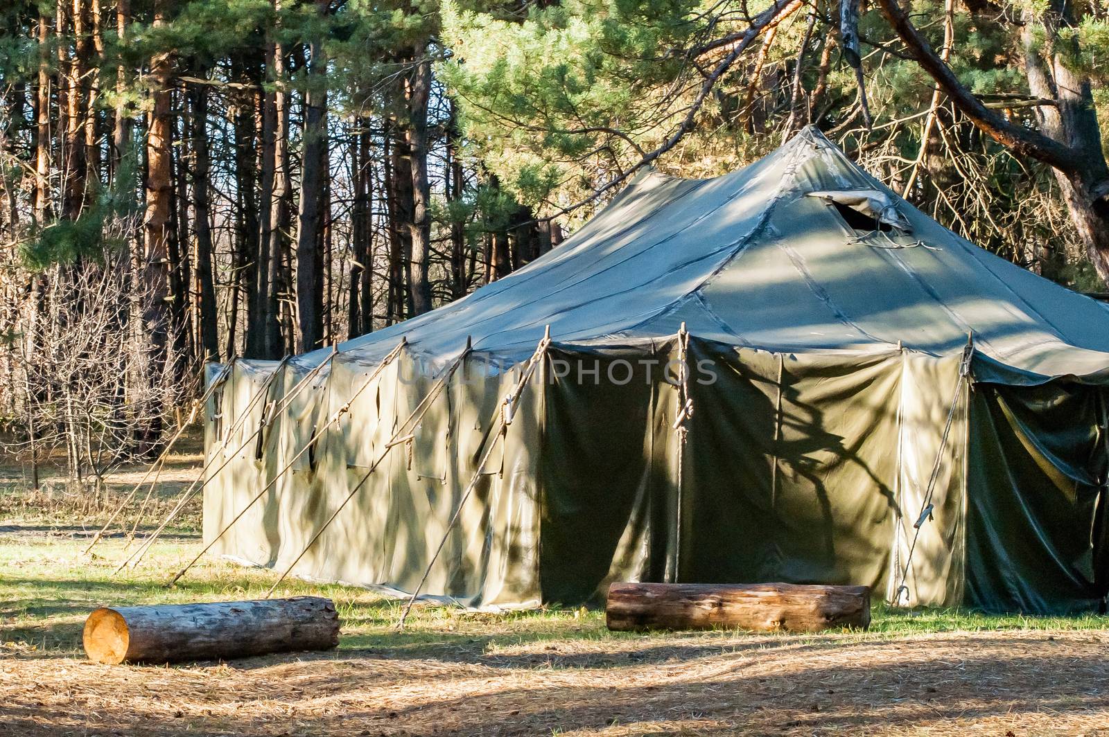 Green tent with tent camping, camping in the woods