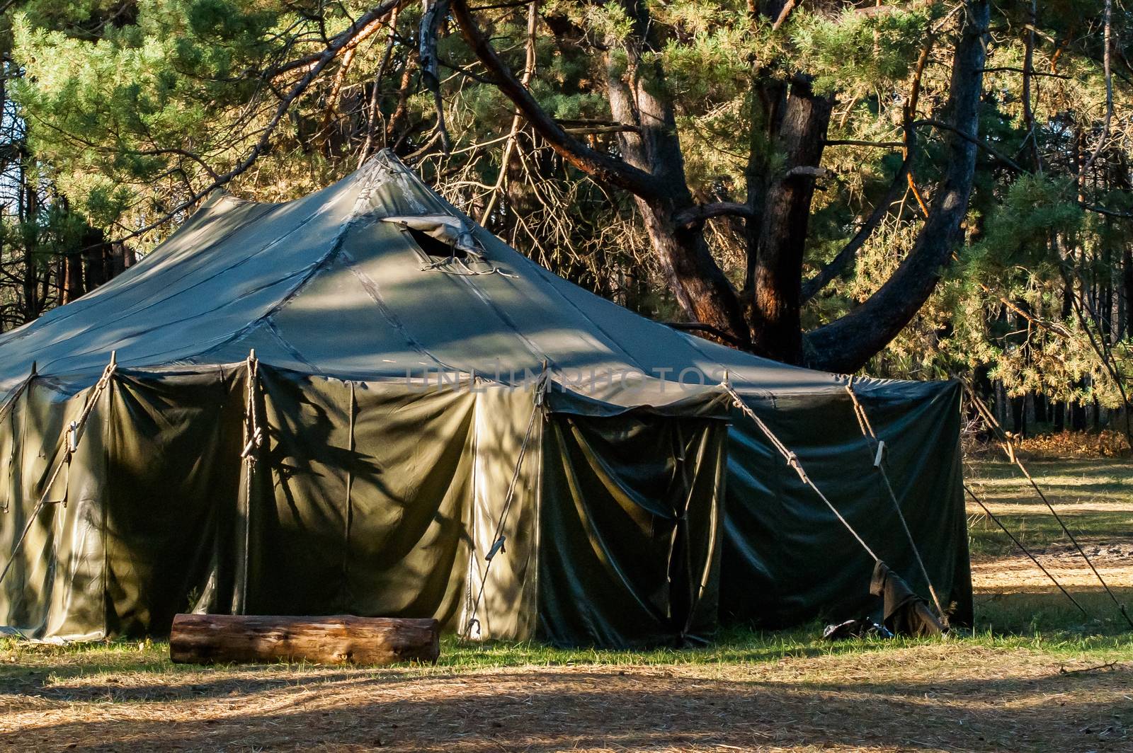 Green tent with tent camping, camping in the woods