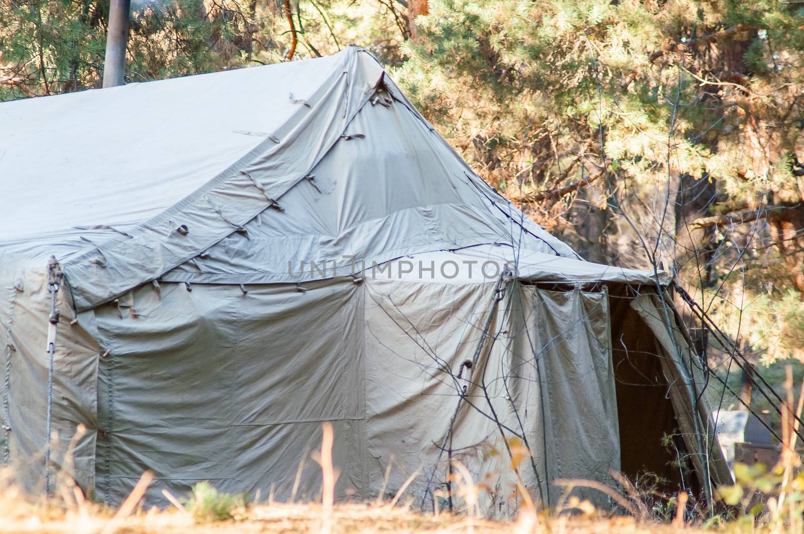 Green tent with tent camping, camping in the woods