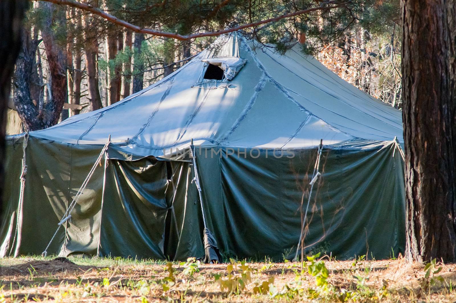 Green tent with tent camping, camping in the woods