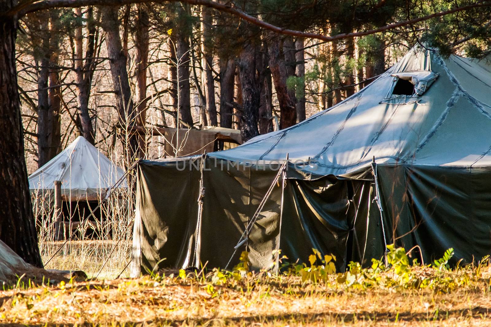 Green tent with tent camping, camping in the woods