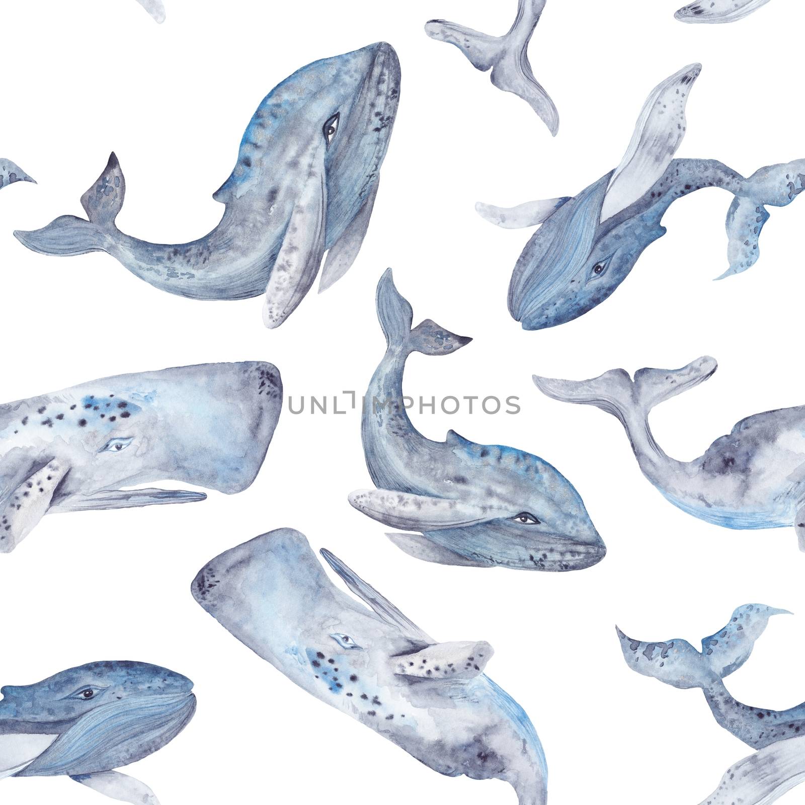 Watercolor Whale Pattern by kisika