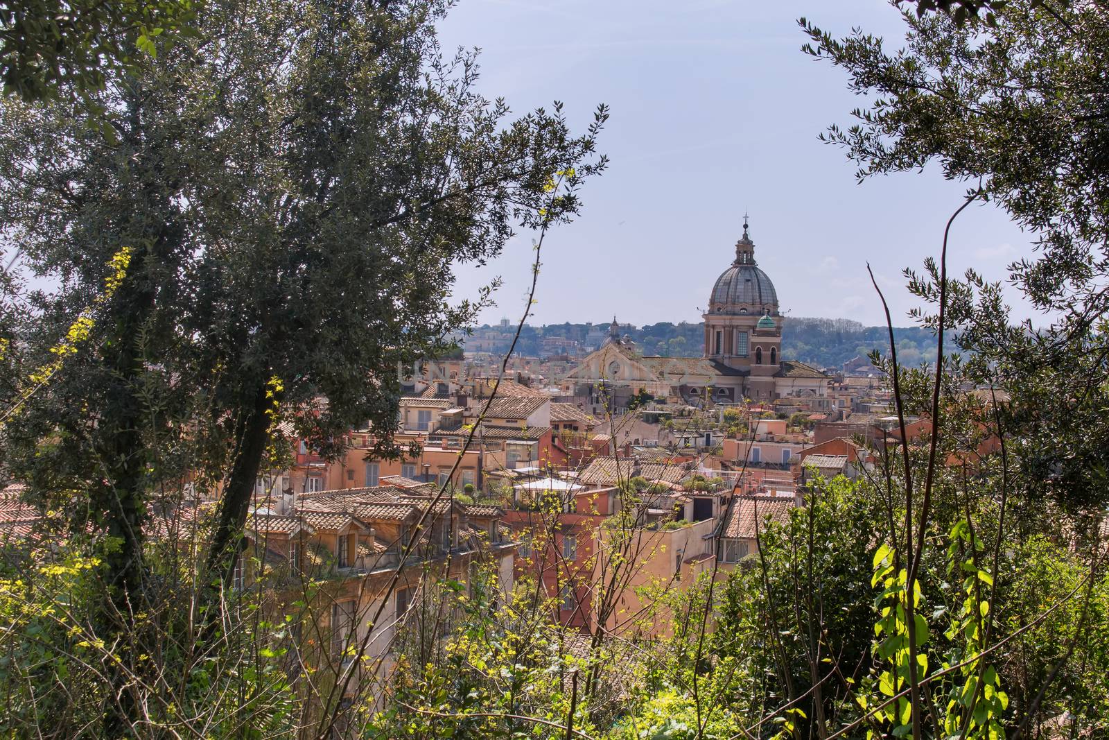 View on the italian capital from a hill. Dome of a church and roofs of the residential houses. Trees in the foreground.